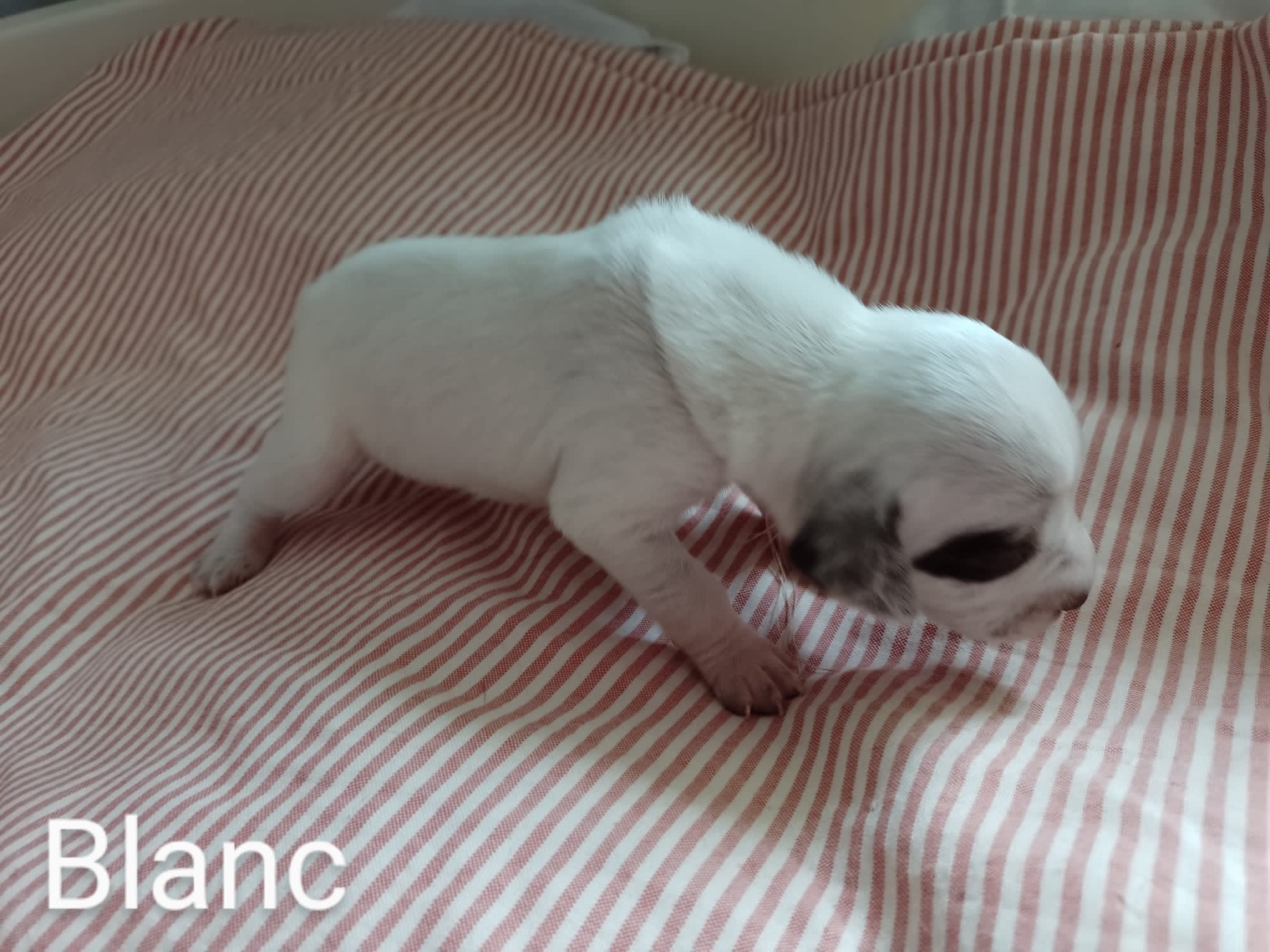 Uno2DuRocherDesJastres