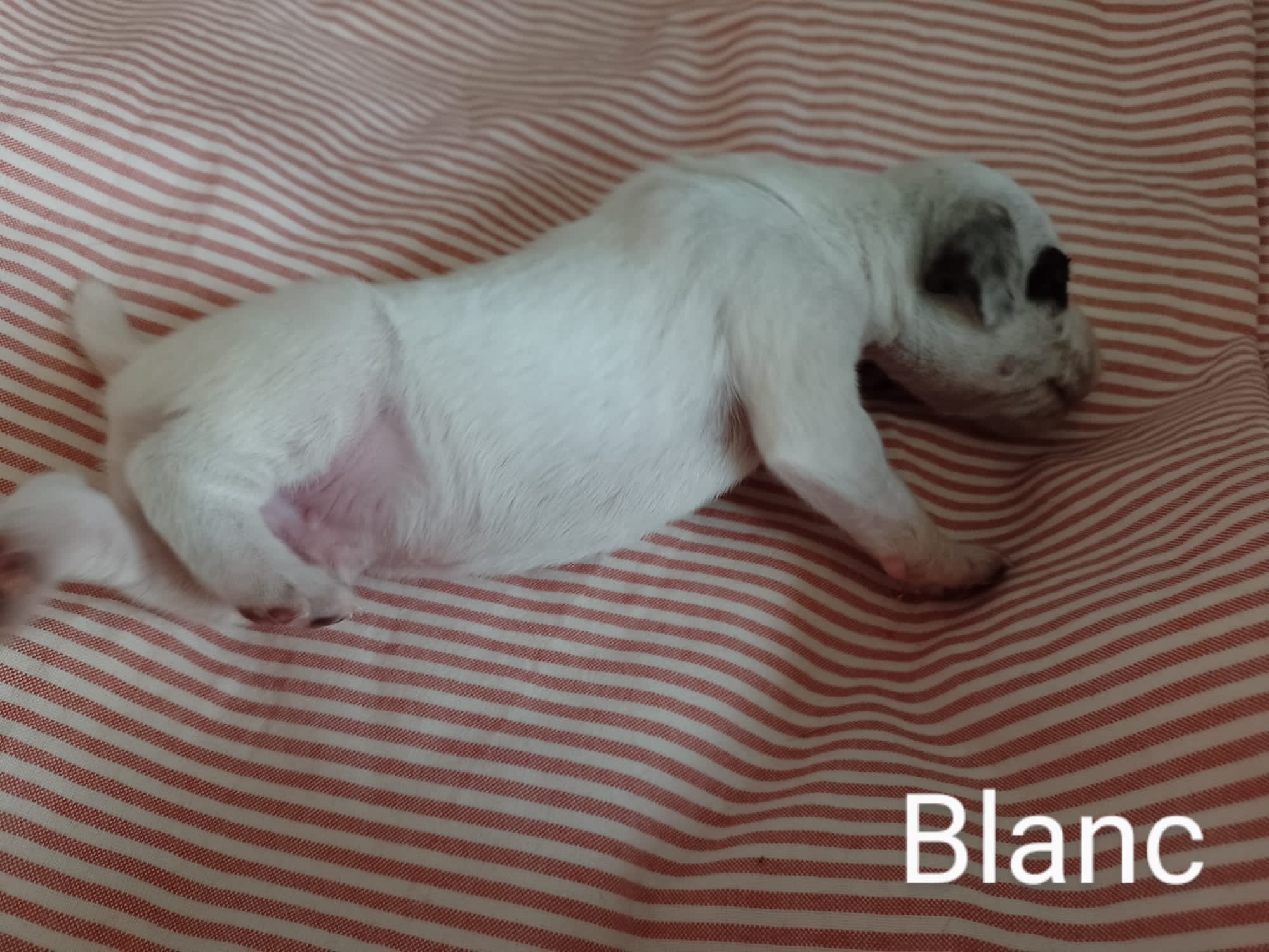 Uno2DuRocherDesJastres