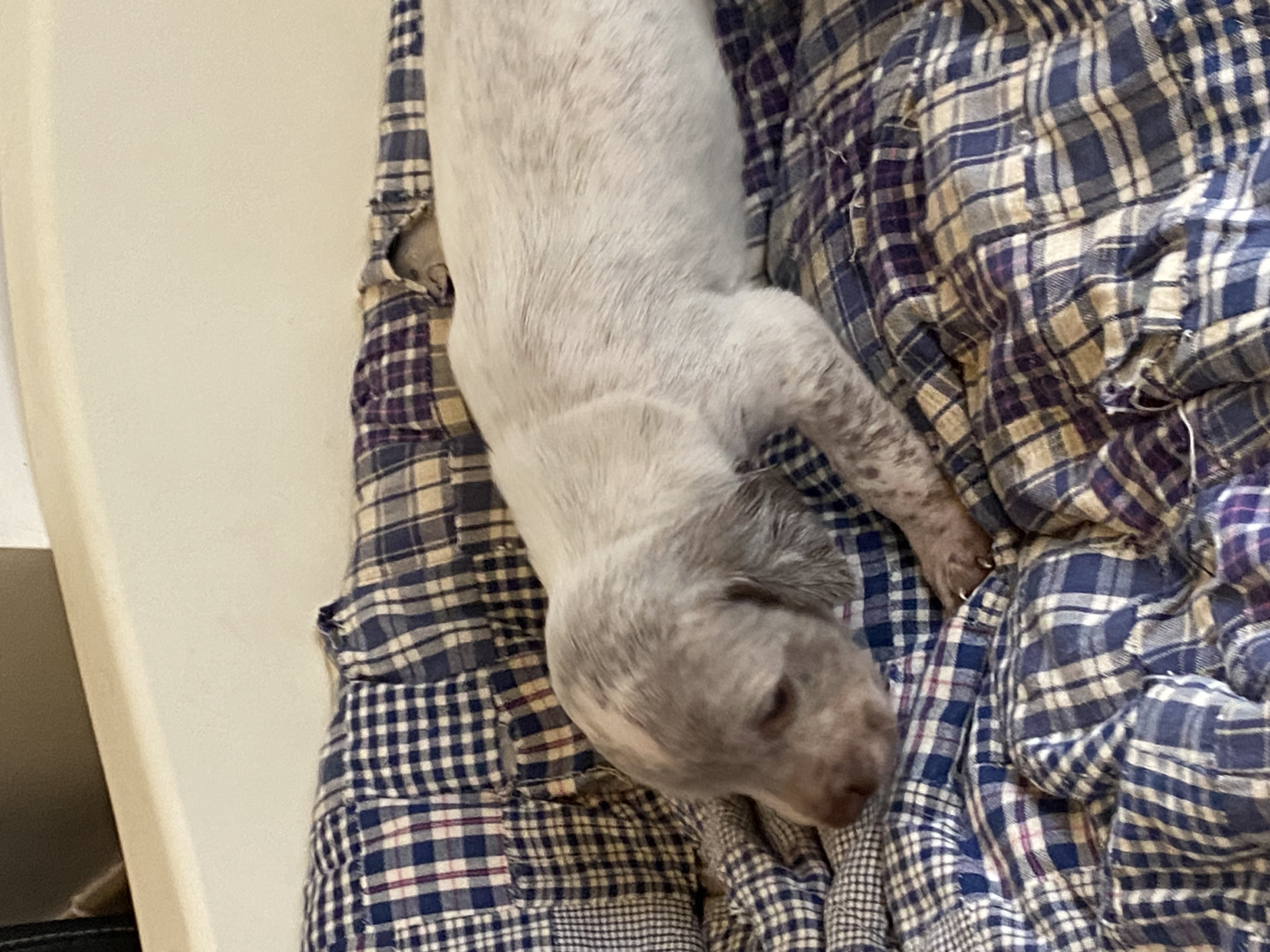 Uno2DuRocherDesJastres