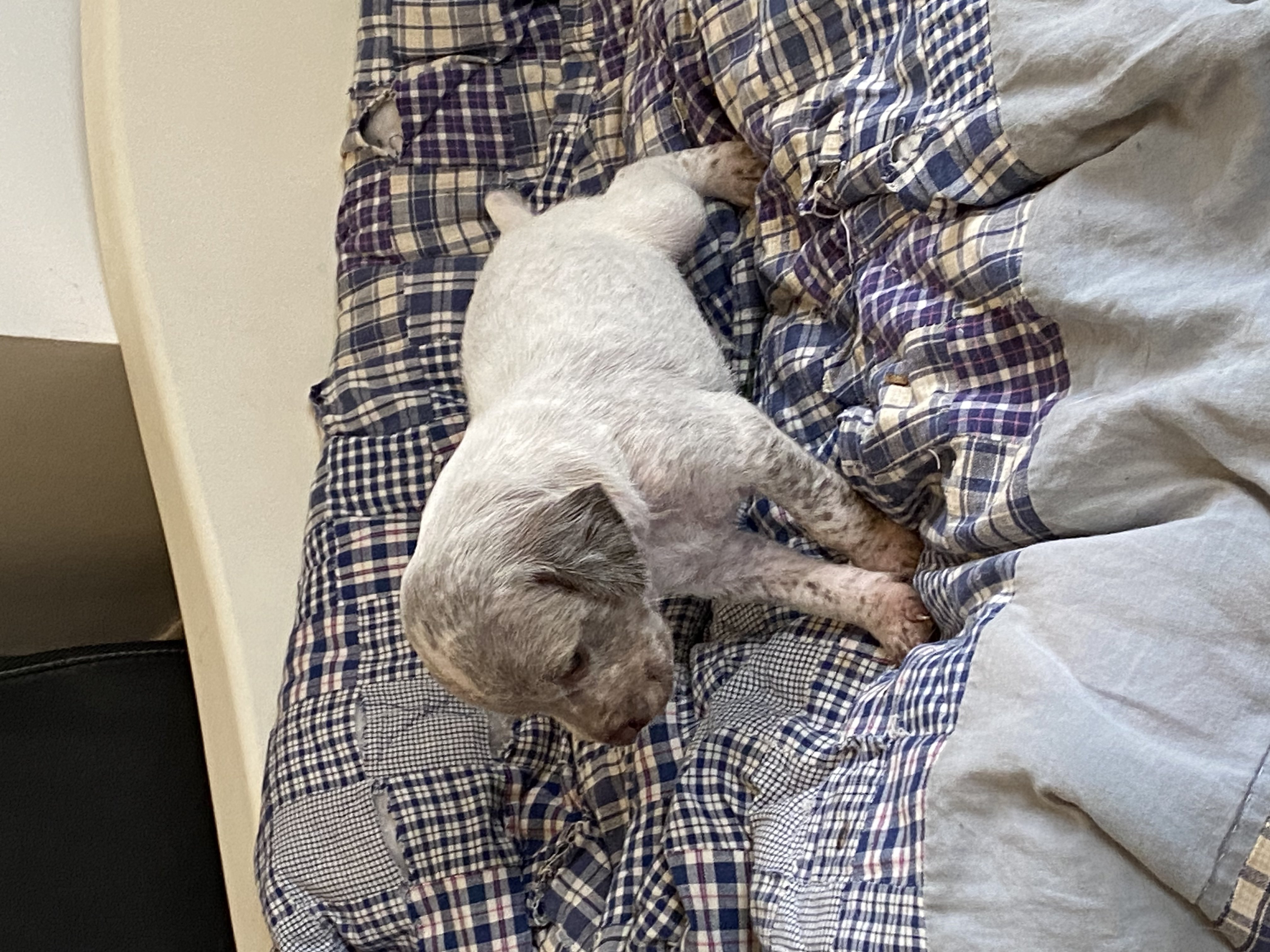 Uno2DuRocherDesJastres