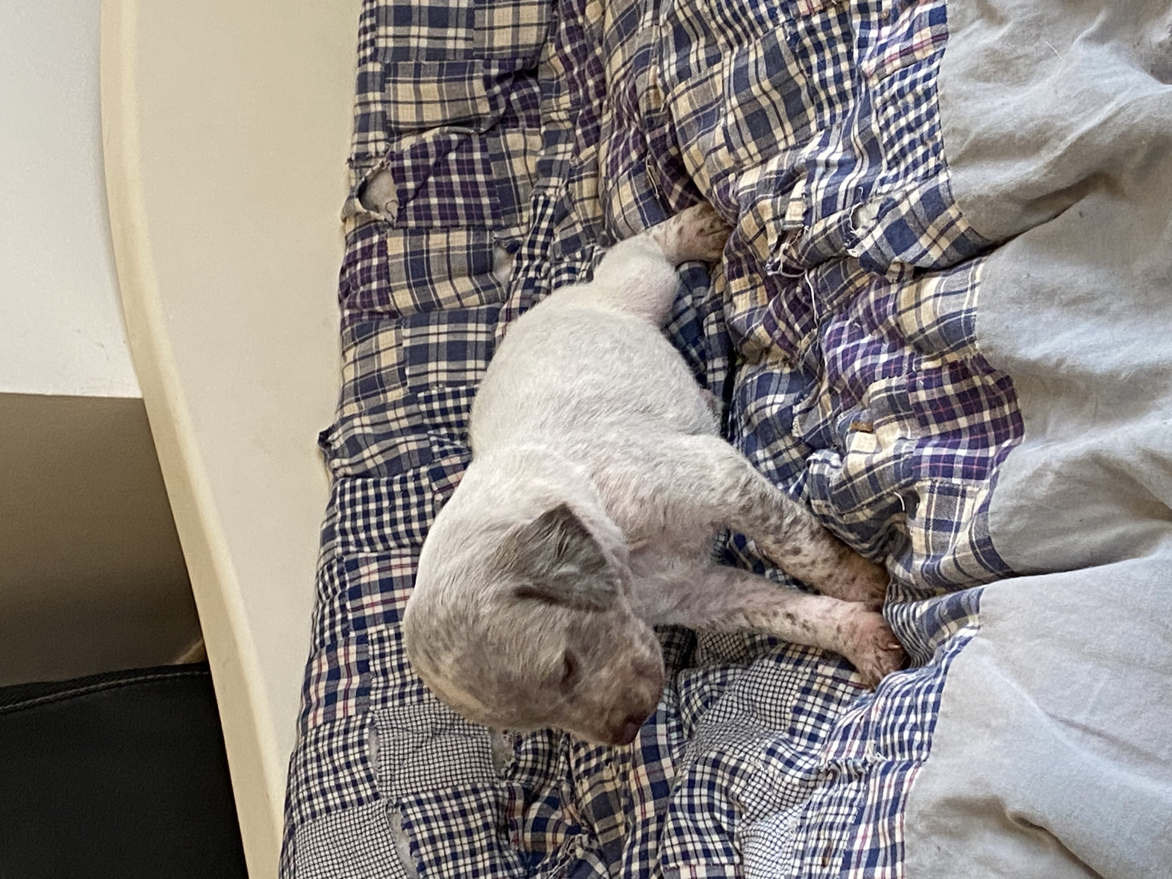 Uno2DuRocherDesJastres