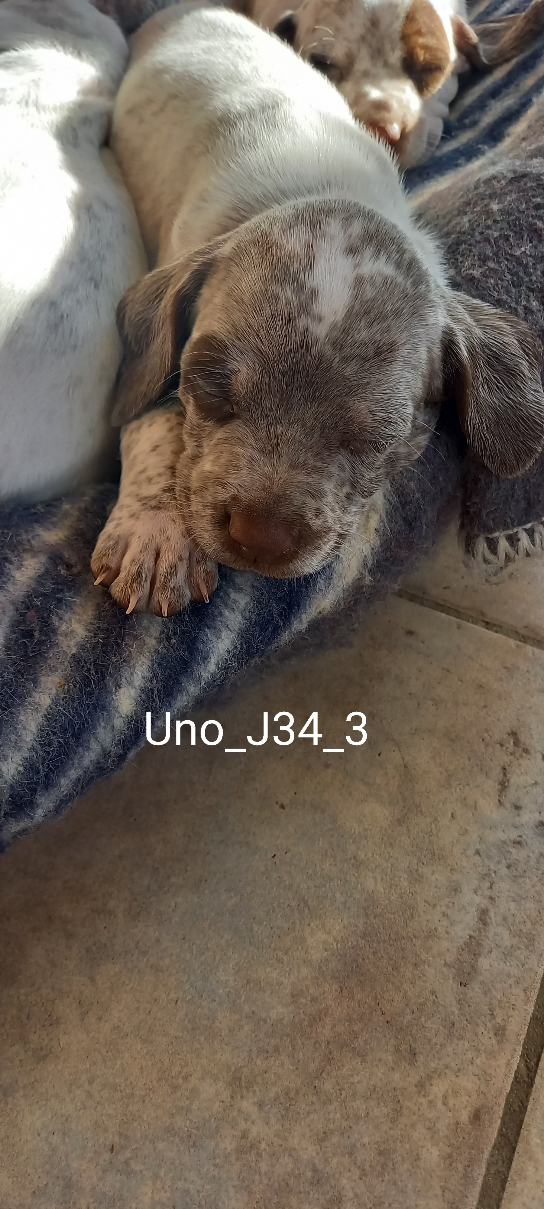 Uno2DuRocherDesJastres