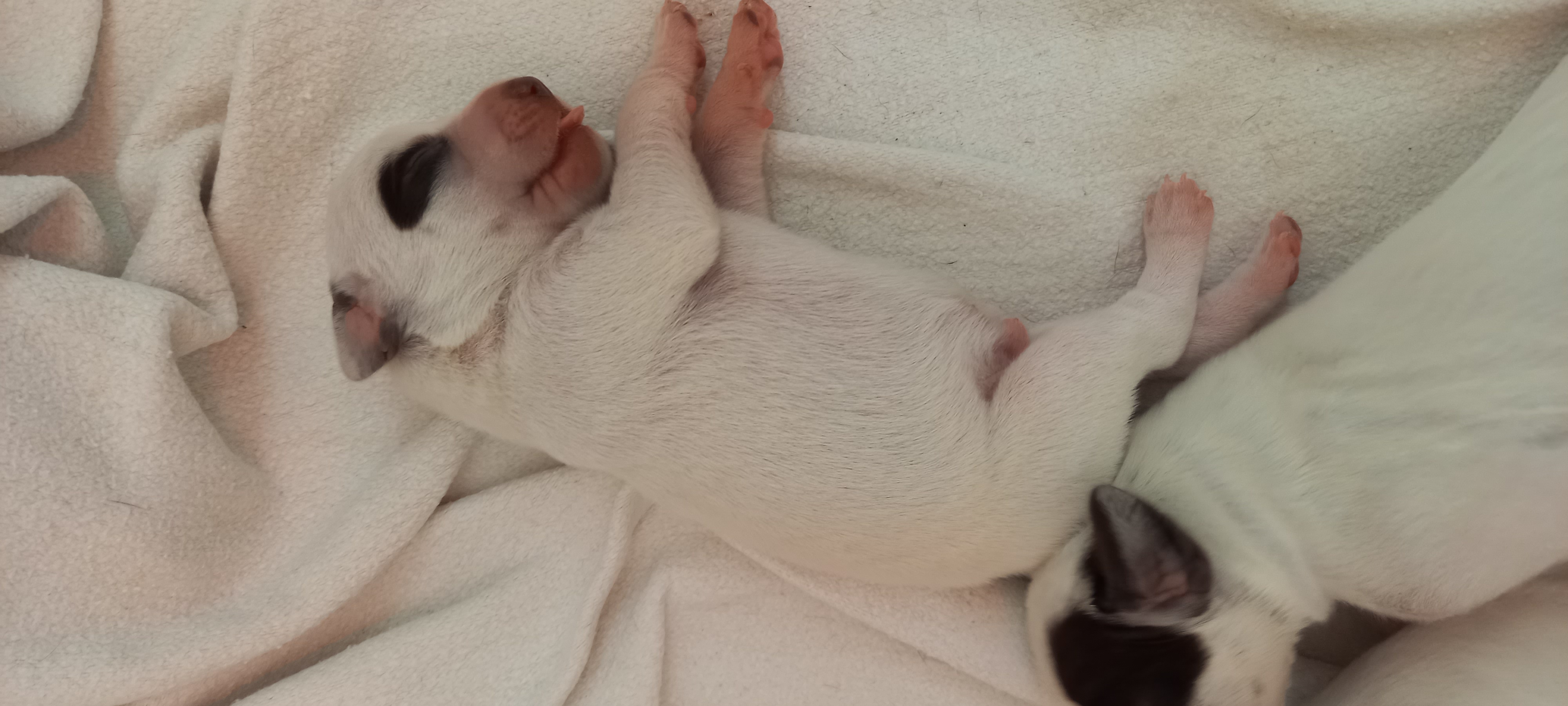 Uno2DuRocherDesJastres