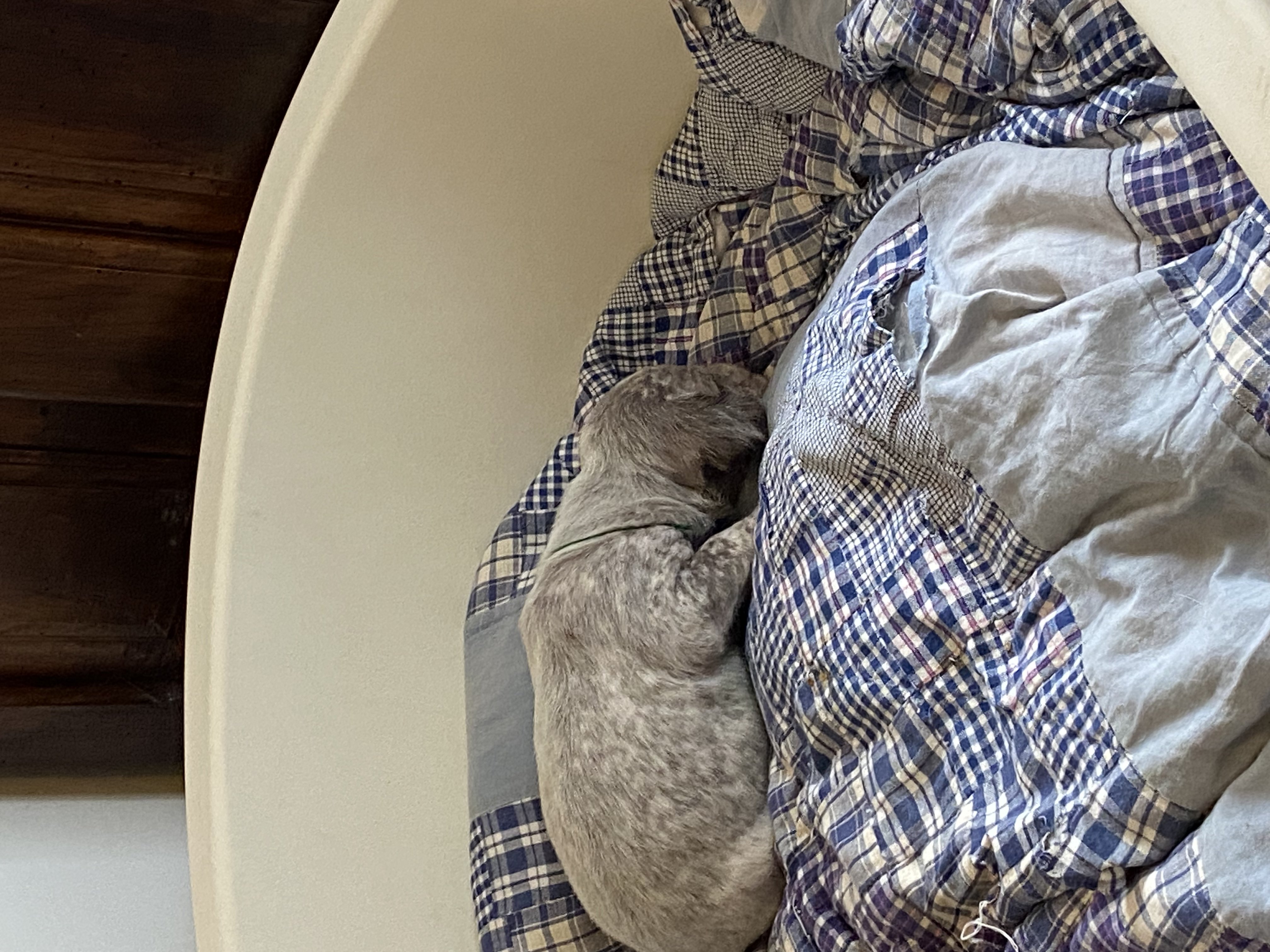 UpsyDuRocherDesJastres