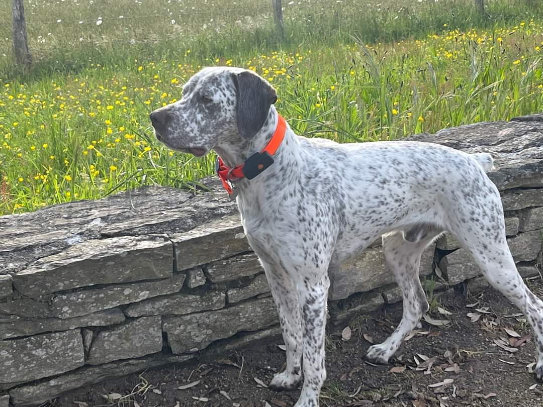 UranusDesPlainesDuPaysDeThelle