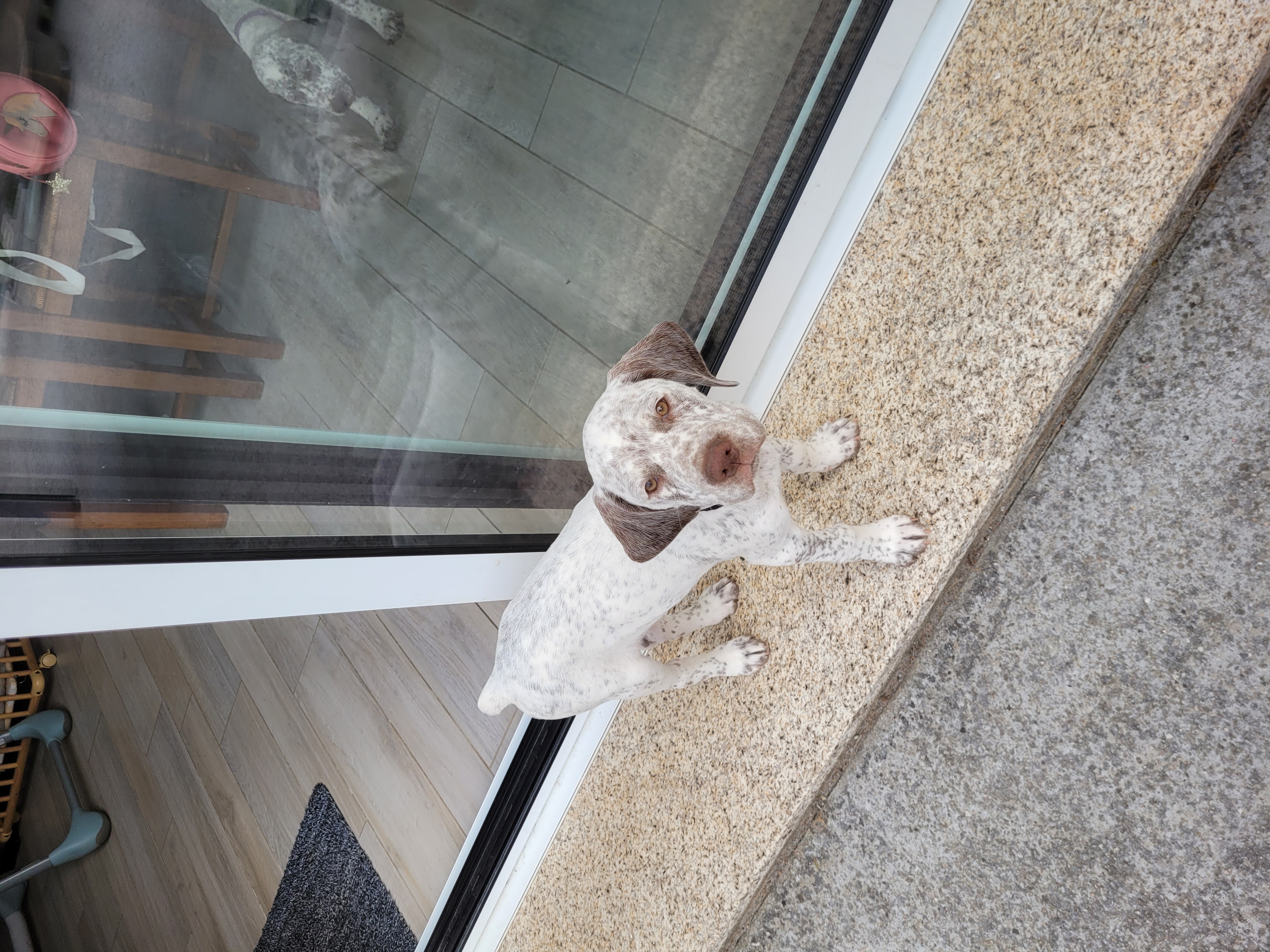 UranusDesPlainesDuPaysDeThelle