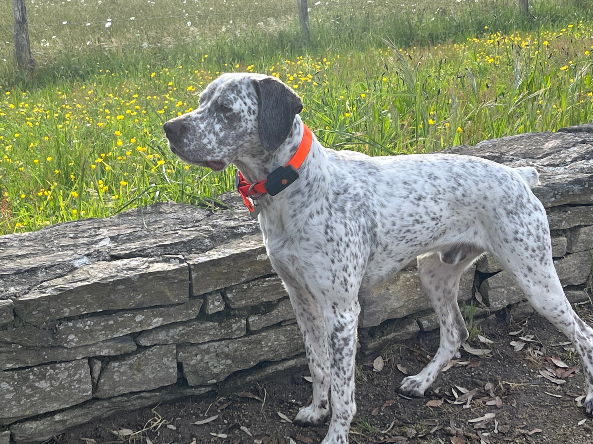 UranusDesPlainesDuPaysDeThelle