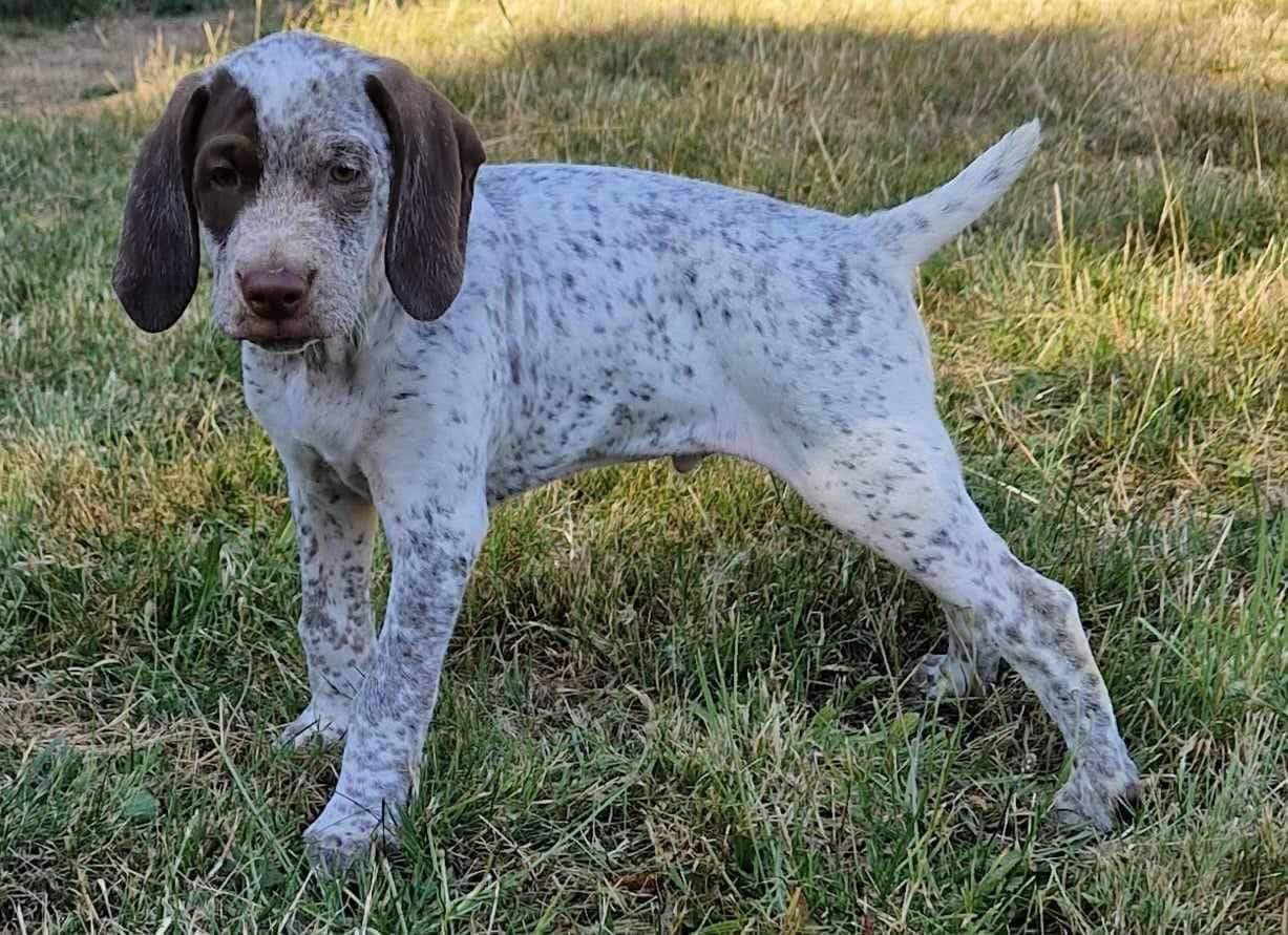 UrgoDesFinsNezDuMeygal