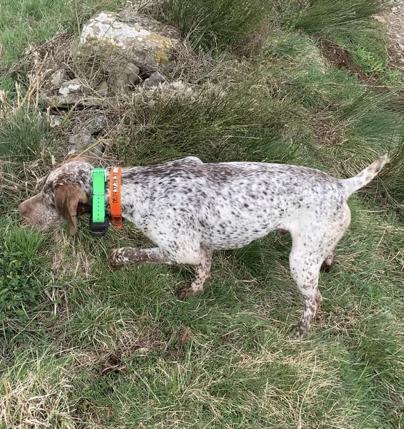 UrgoDesFinsNezDuMeygal