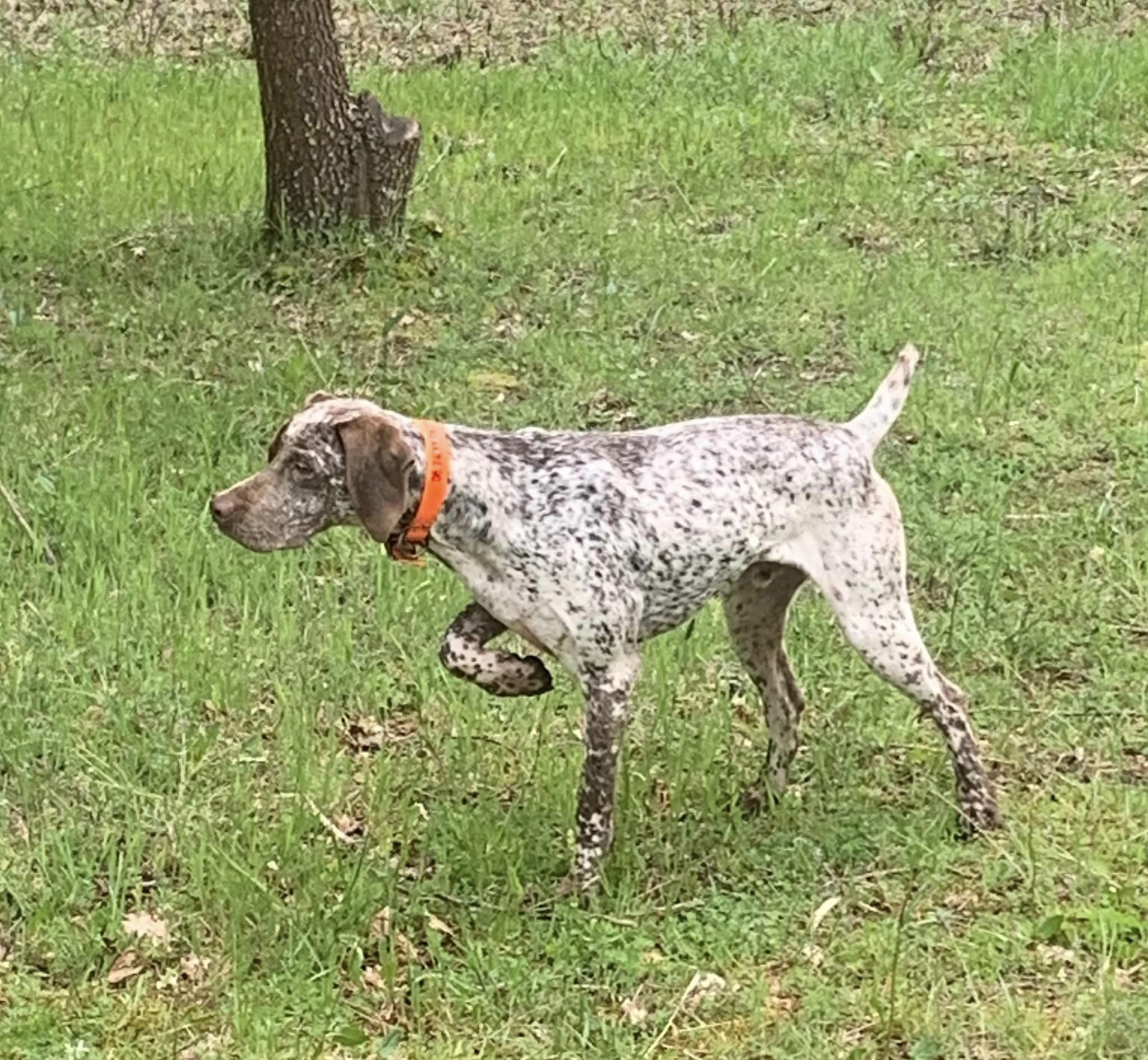 UrgoDesFinsNezDuMeygal