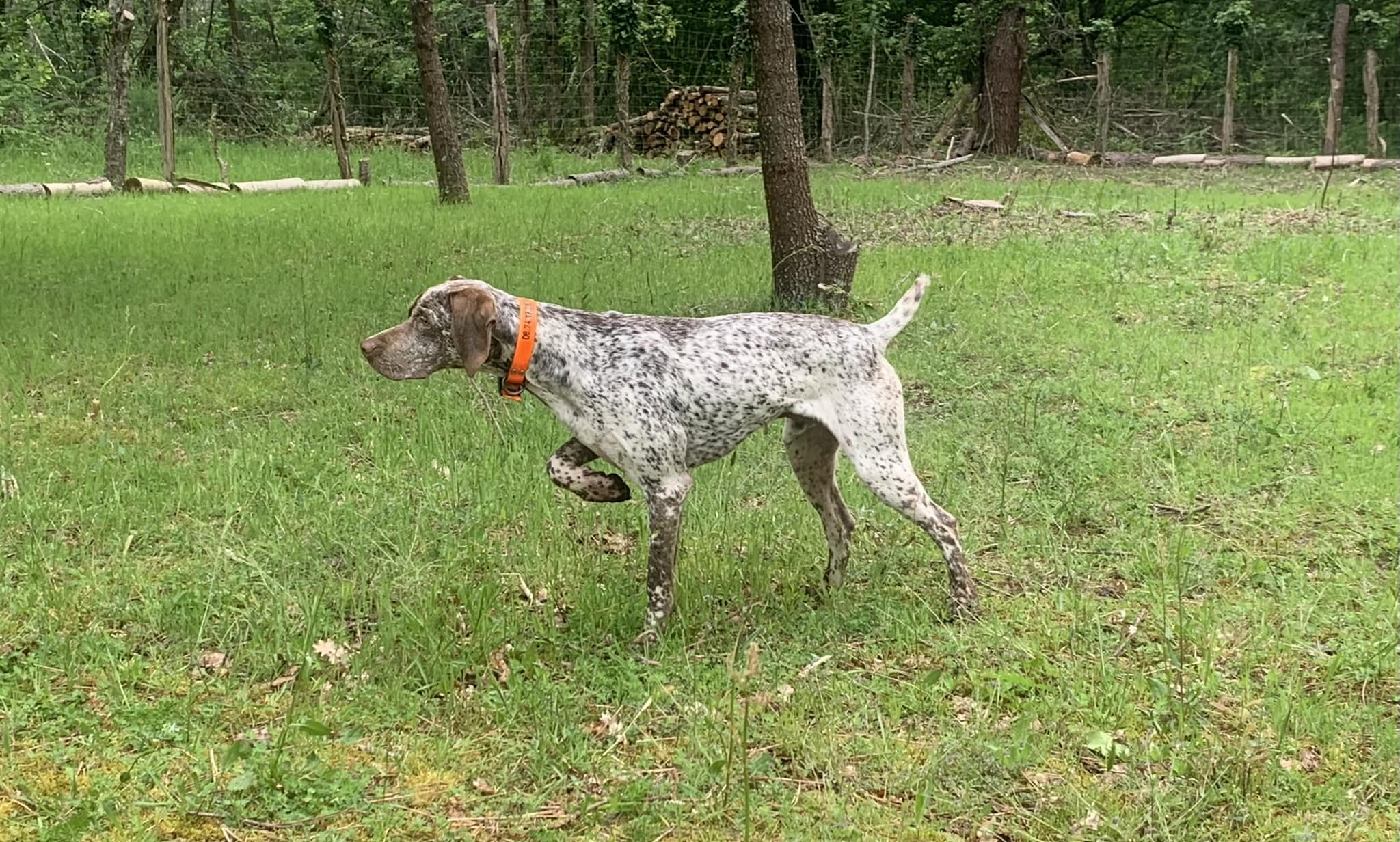 UrgoDesFinsNezDuMeygal