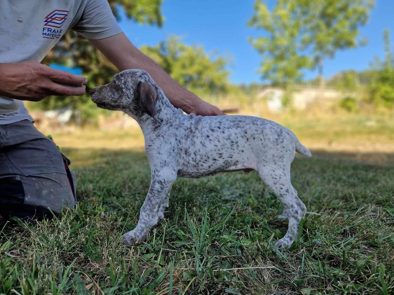 UrgoDesFinsNezDuMeygal