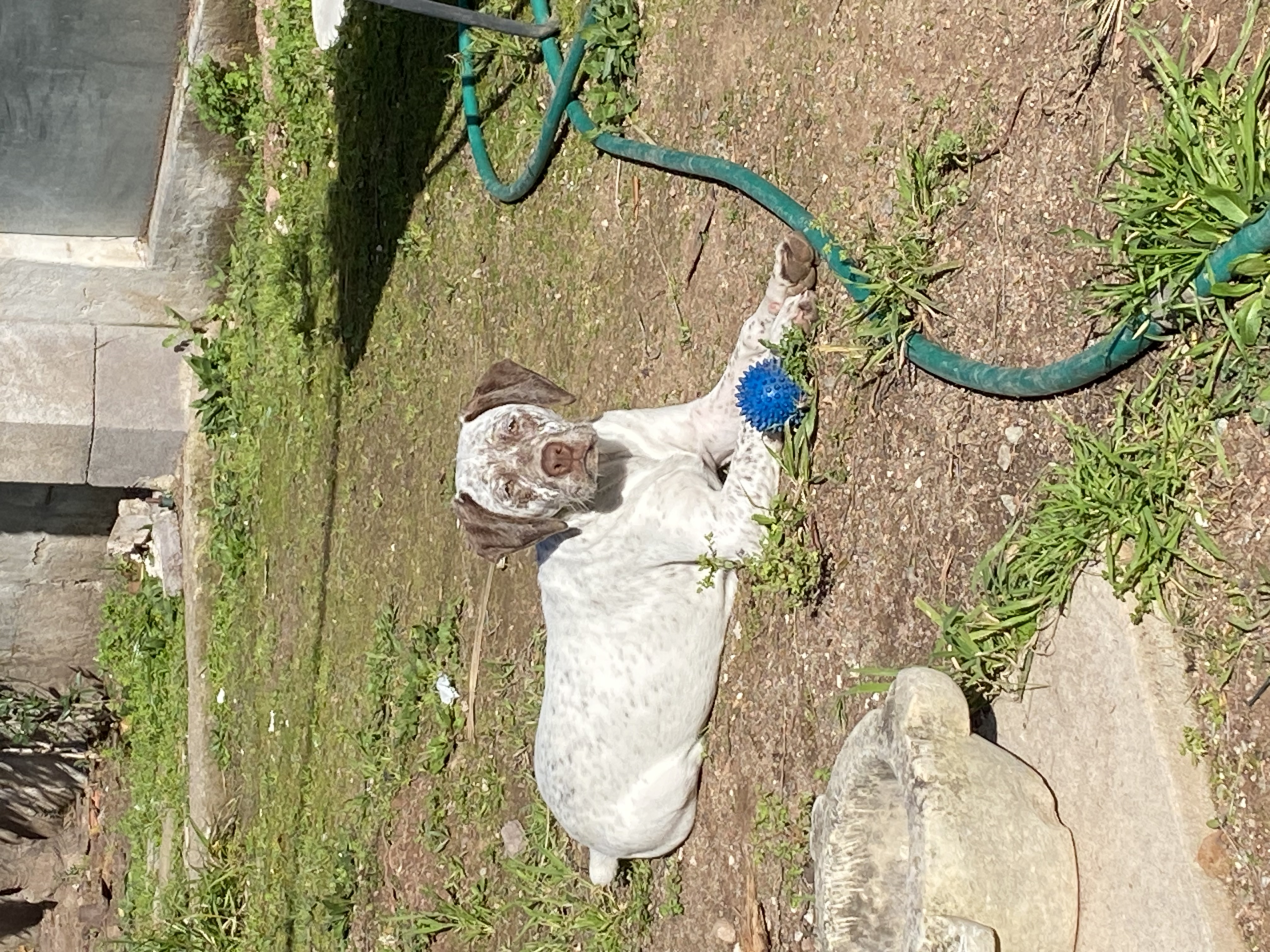 UrkkaDuRocherDesJastres