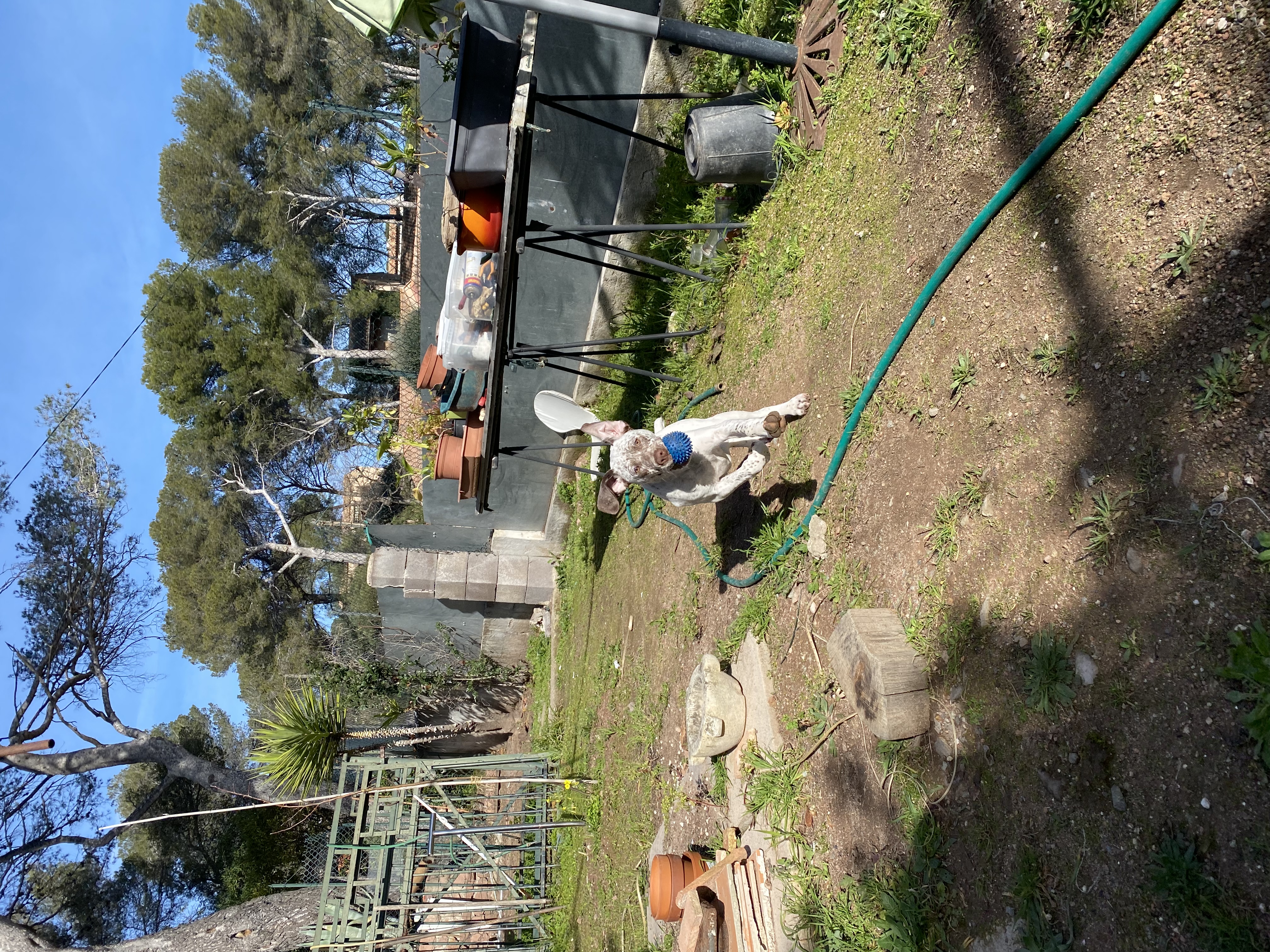 UrkkaDuRocherDesJastres