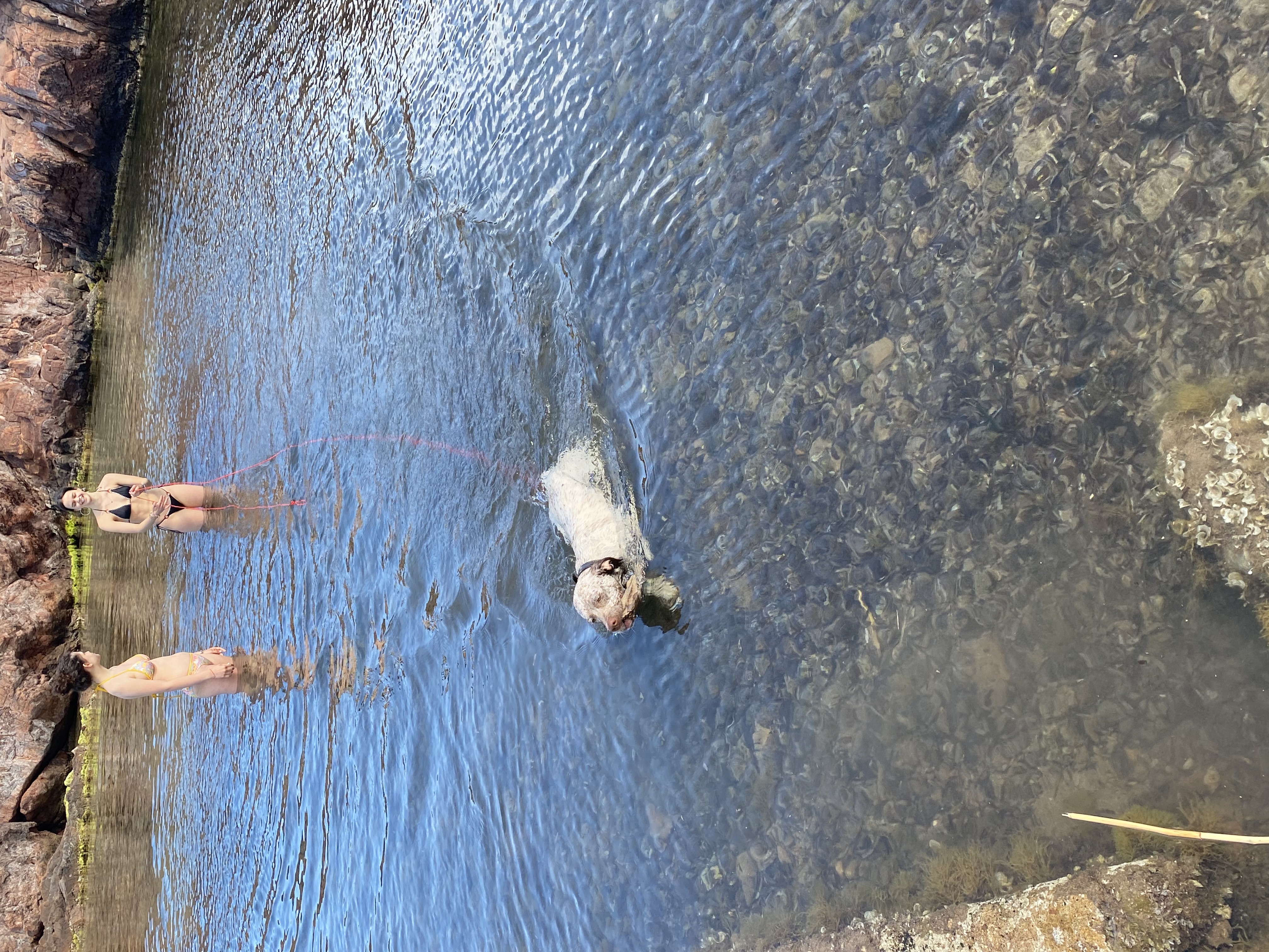 UrkkaDuRocherDesJastres