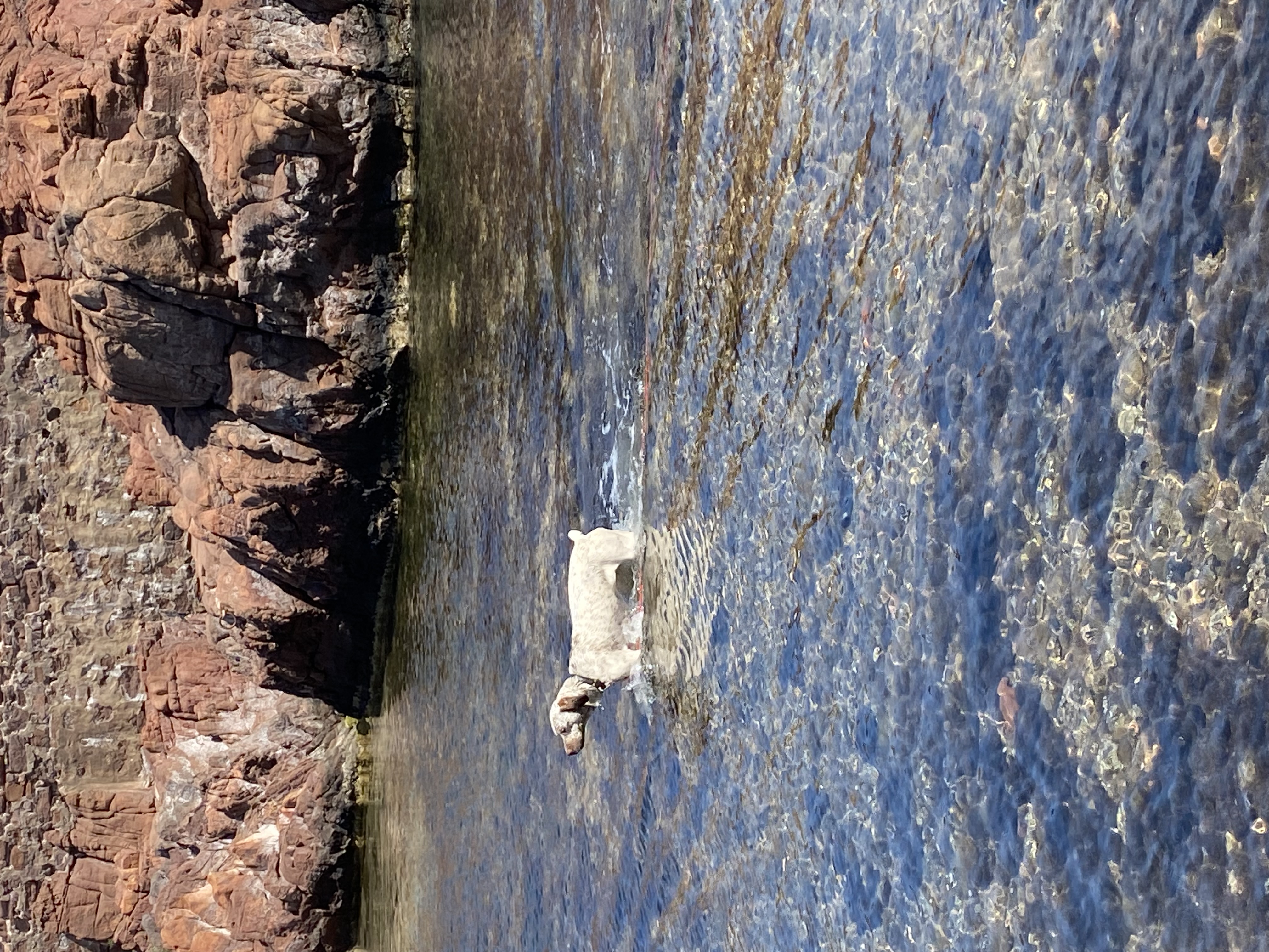 UrkkaDuRocherDesJastres