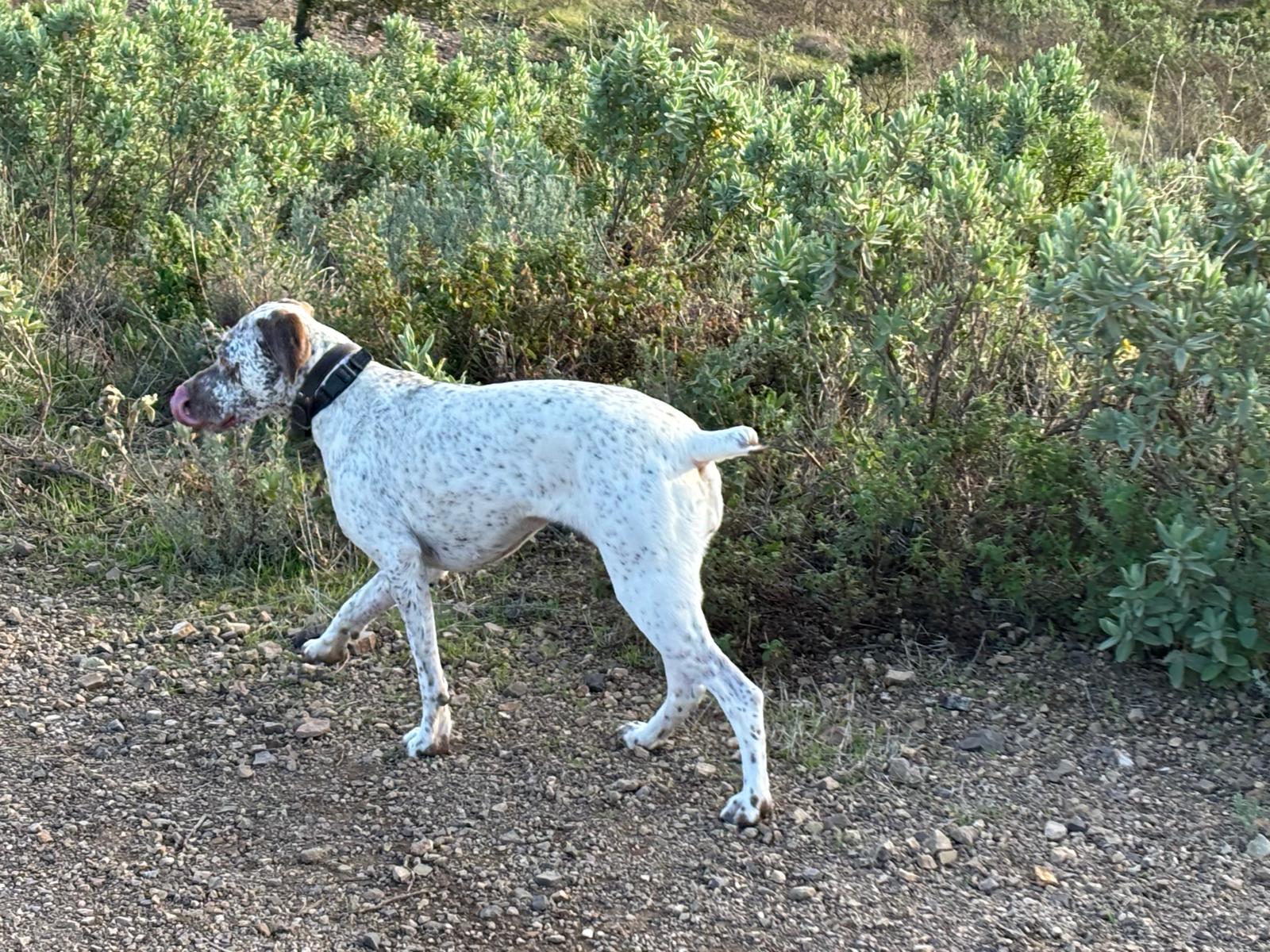 UrkkaDuRocherDesJastres