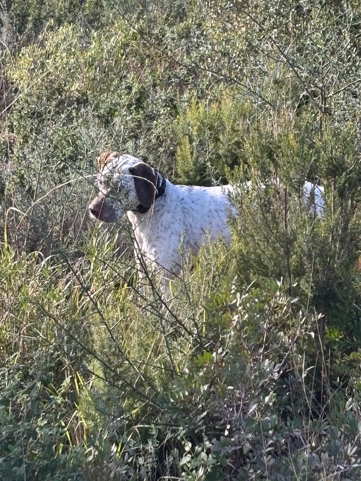 UrkkaDuRocherDesJastres