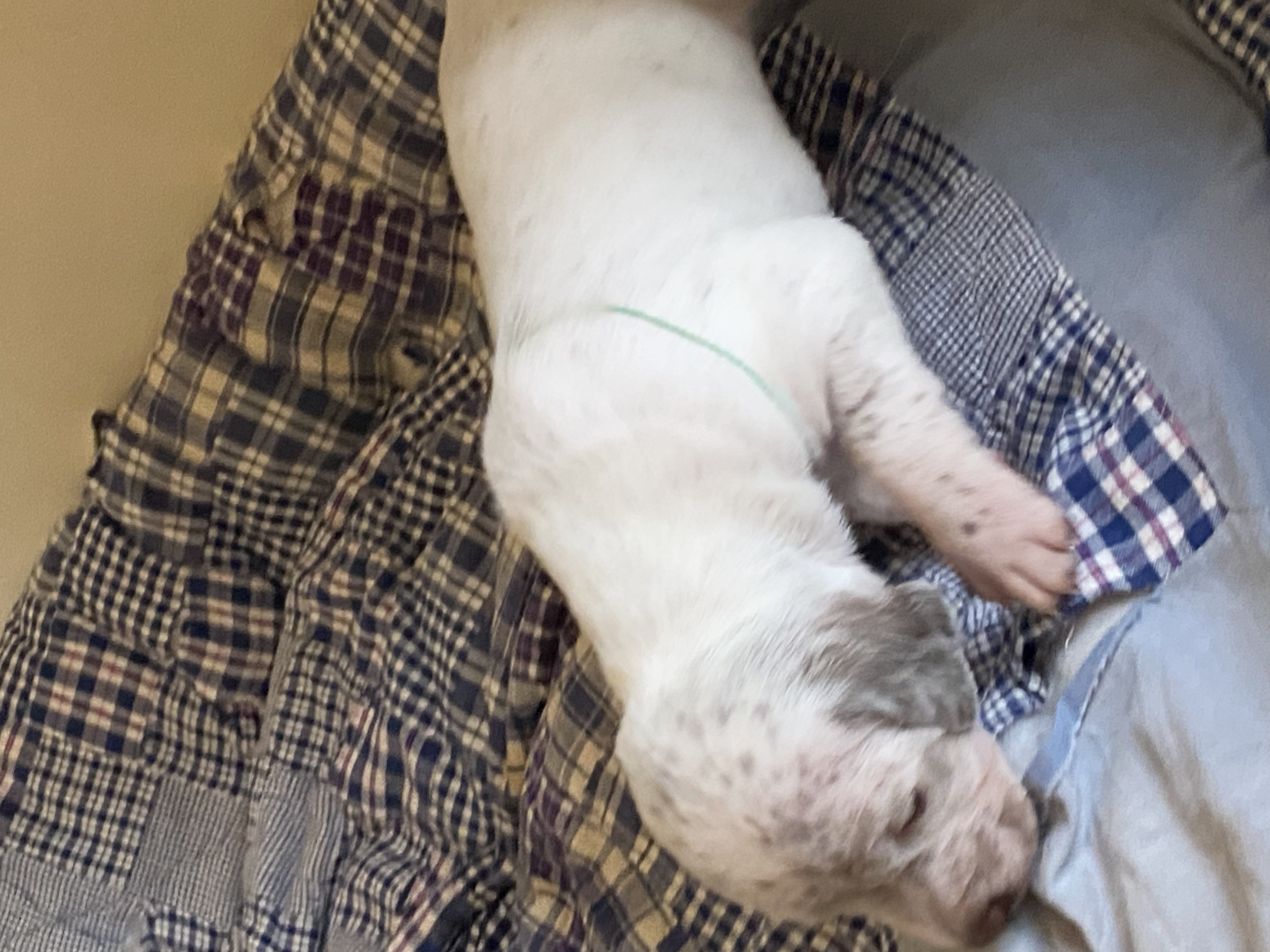 UrkkaDuRocherDesJastres