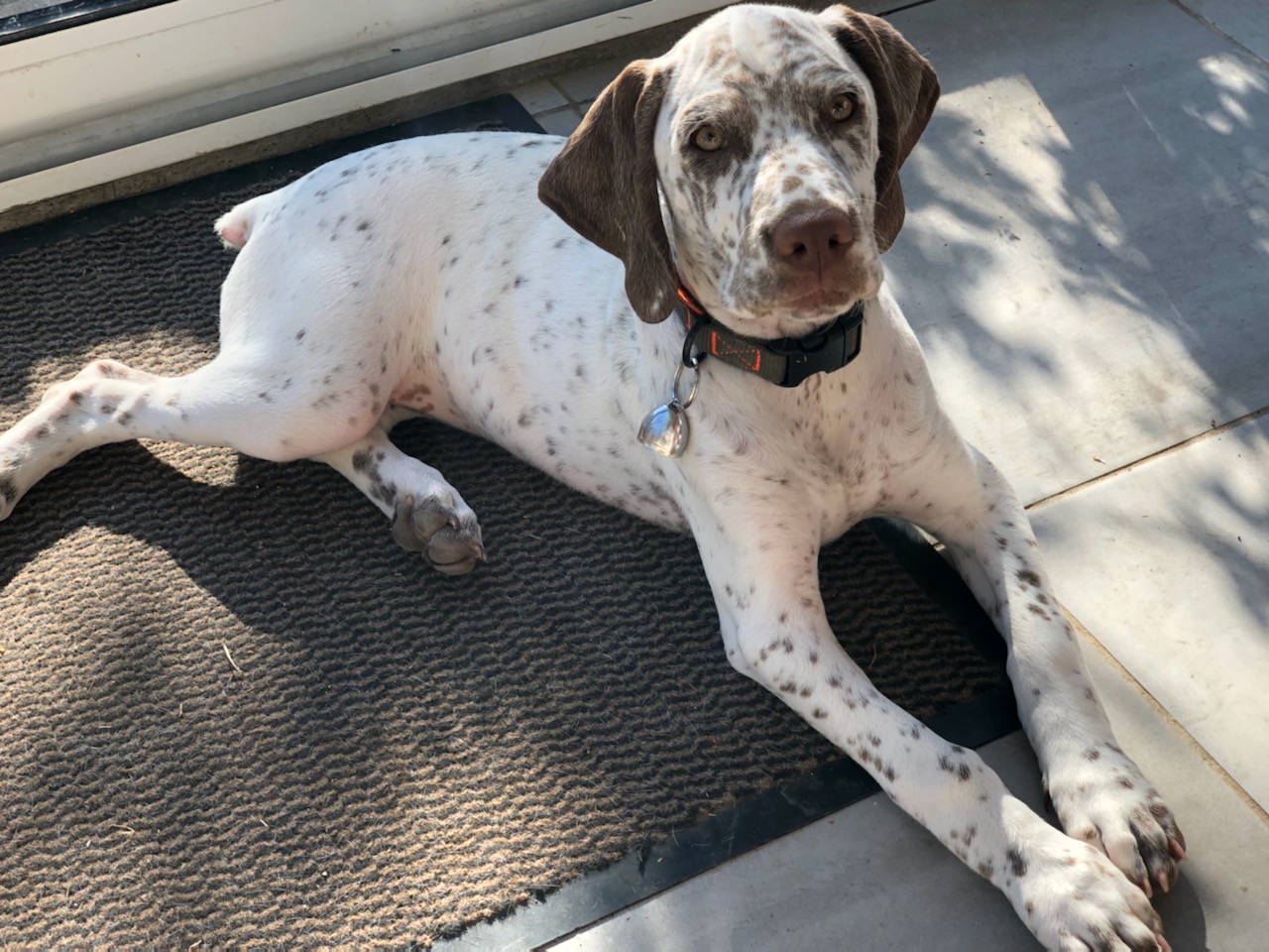 UtopieDesPlainesDuPaysDeThelle