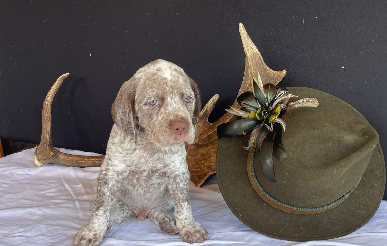 BastienBourbonskéŠtěstí