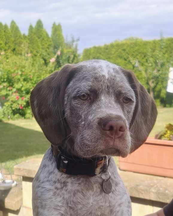 BastienBourbonskéŠtěstí