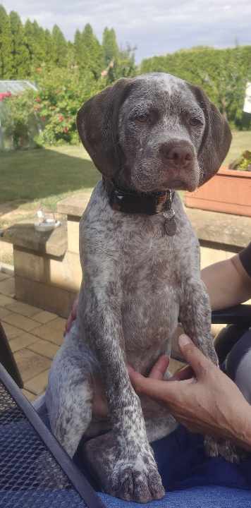 BastienBourbonskéŠtěstí