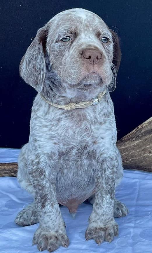 BastienBourbonskéŠtěstí