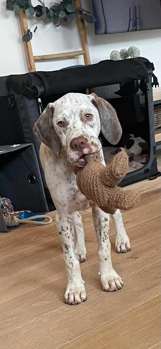 BastienBourbonskéŠtěstí