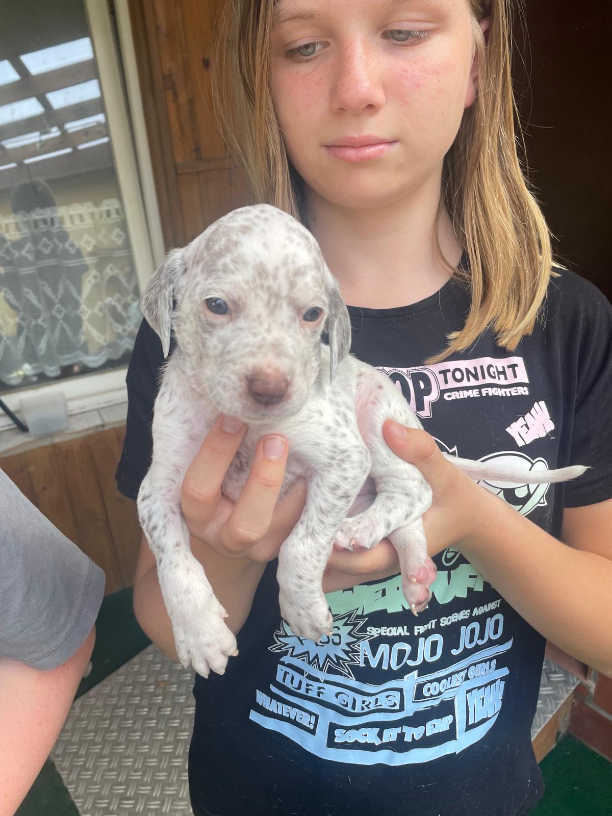 GerardVomElstermannHof