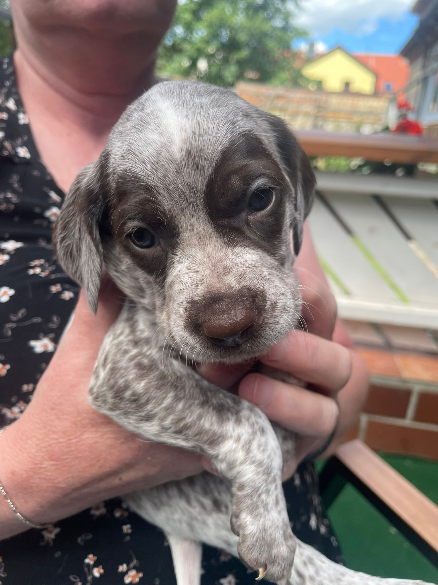 GerryVomElstermannHof