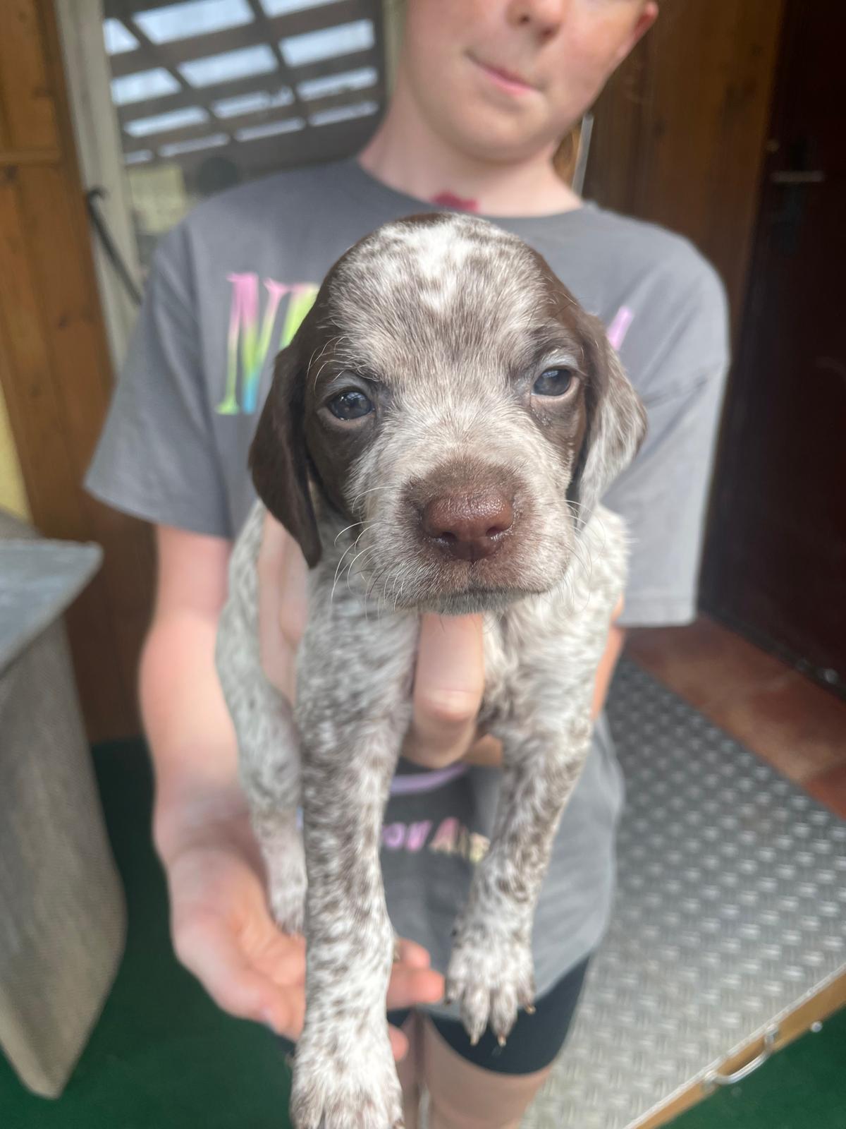 GinoVomElstermannHof