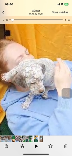 GloriaVomElstermannHof