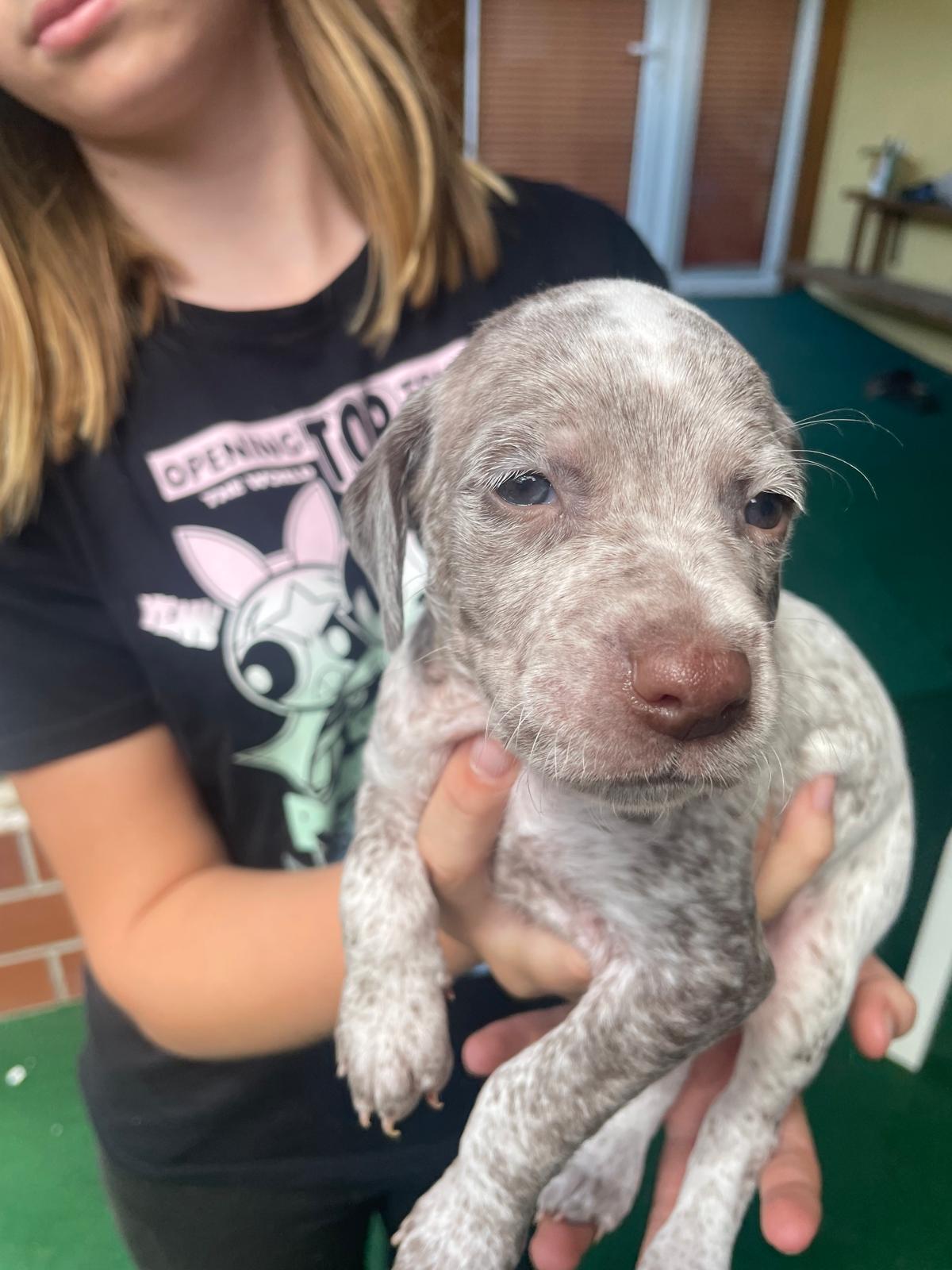 GloriaVomElstermannHof