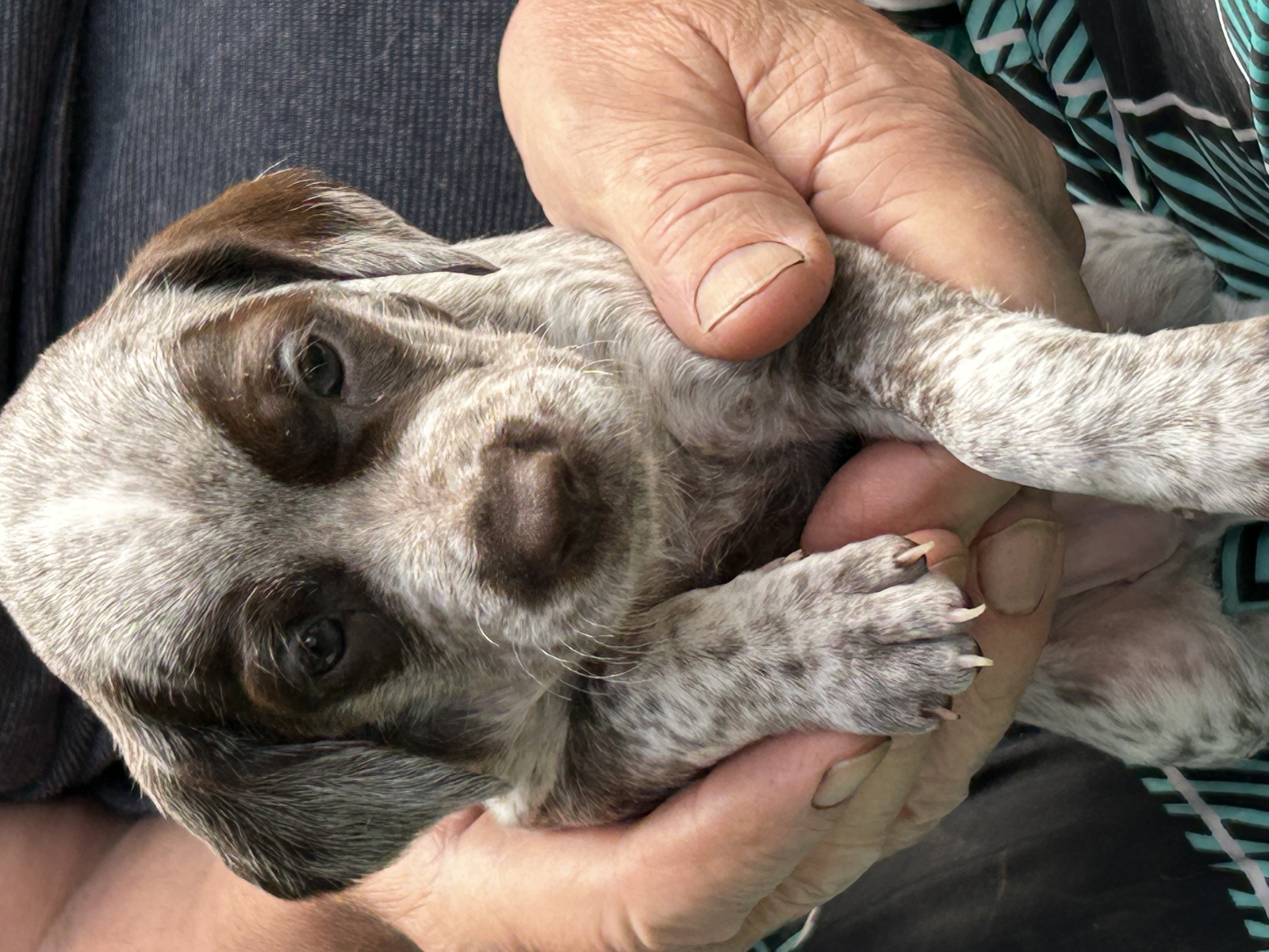 GretaVomElstermannHof