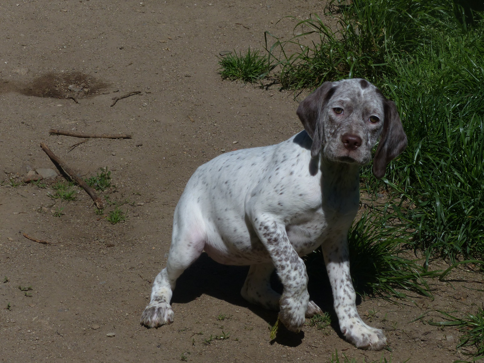 ArielDesMontsDOccitanie