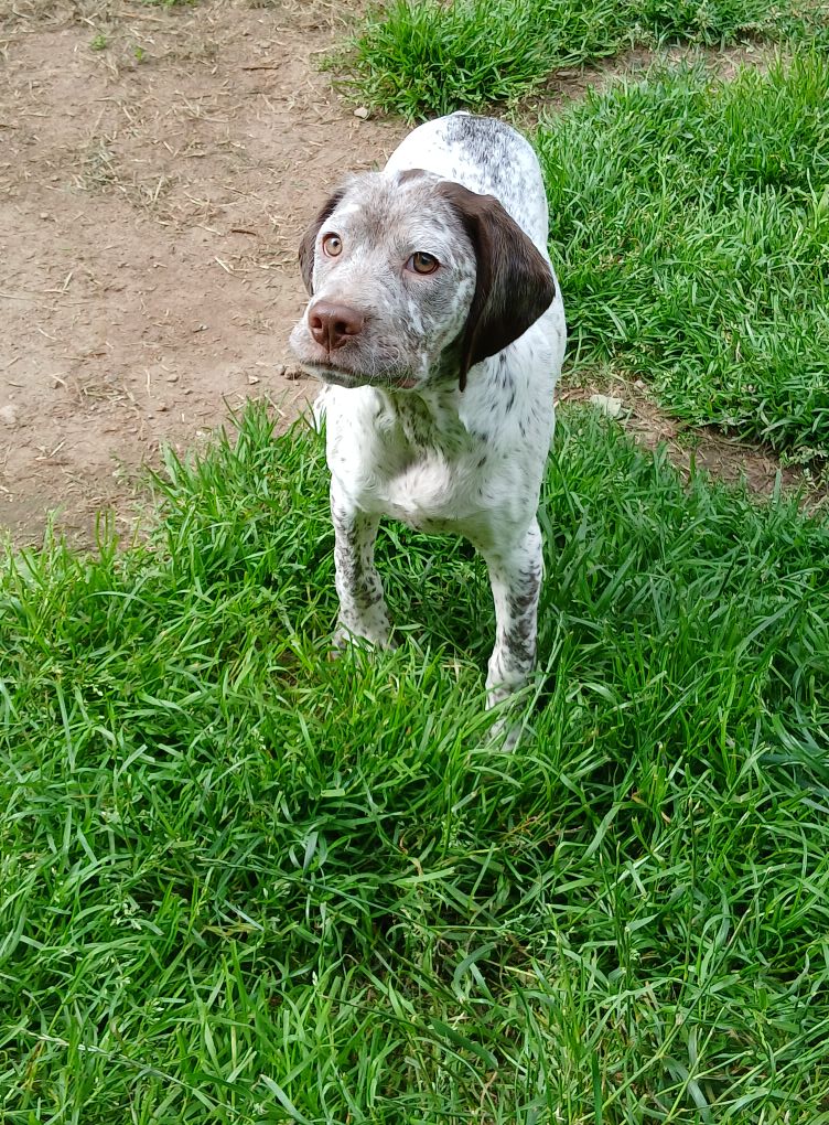 ArielDesMontsDOccitanie