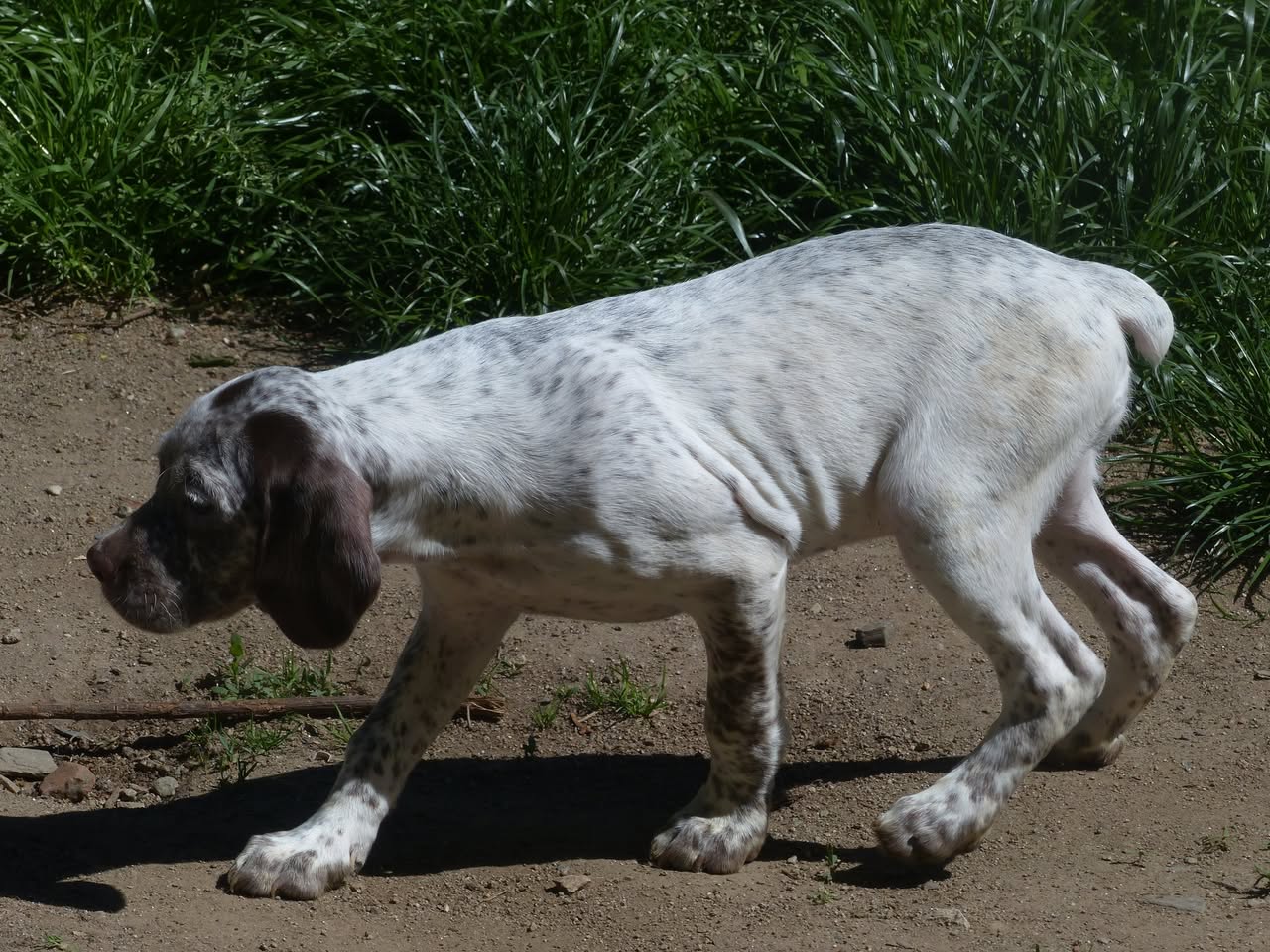 ArielDesMontsDOccitanie