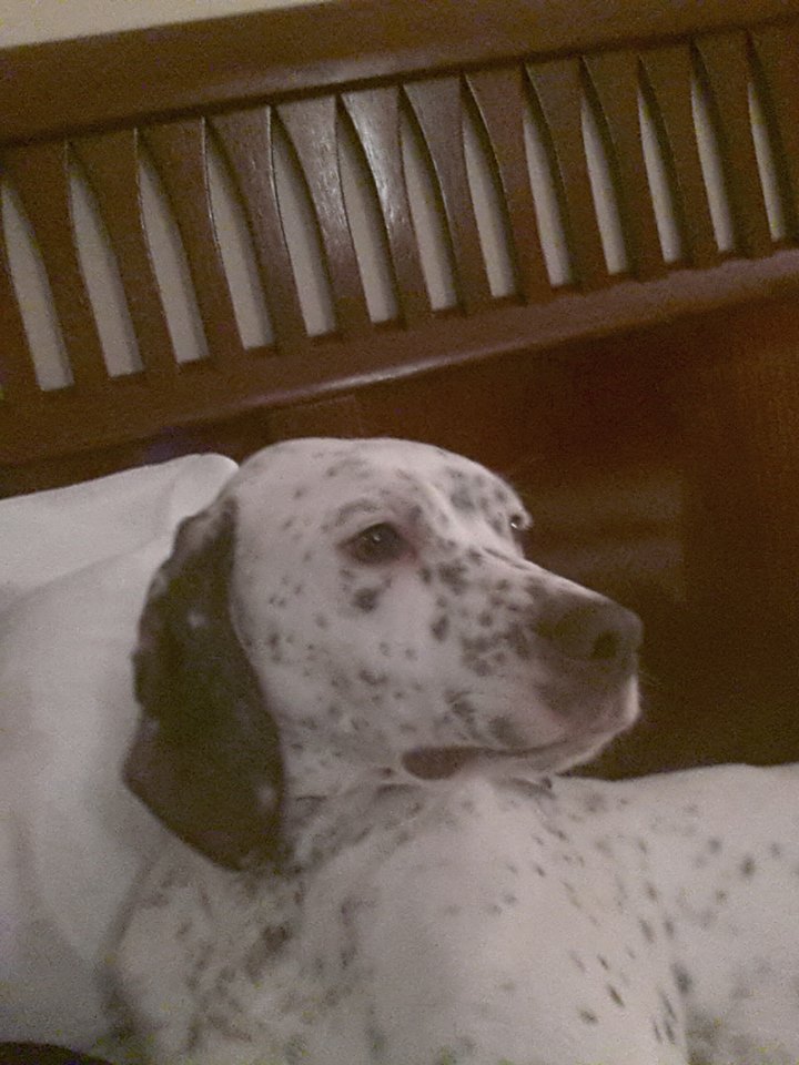 Cliquer pour agrandir/réduire