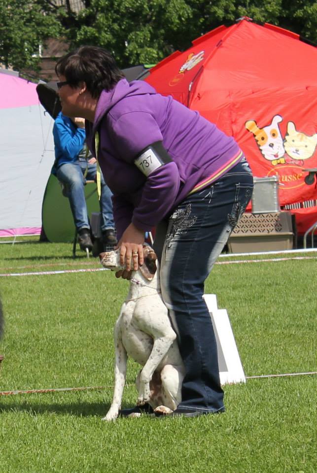 Cliquer pour agrandir/réduire