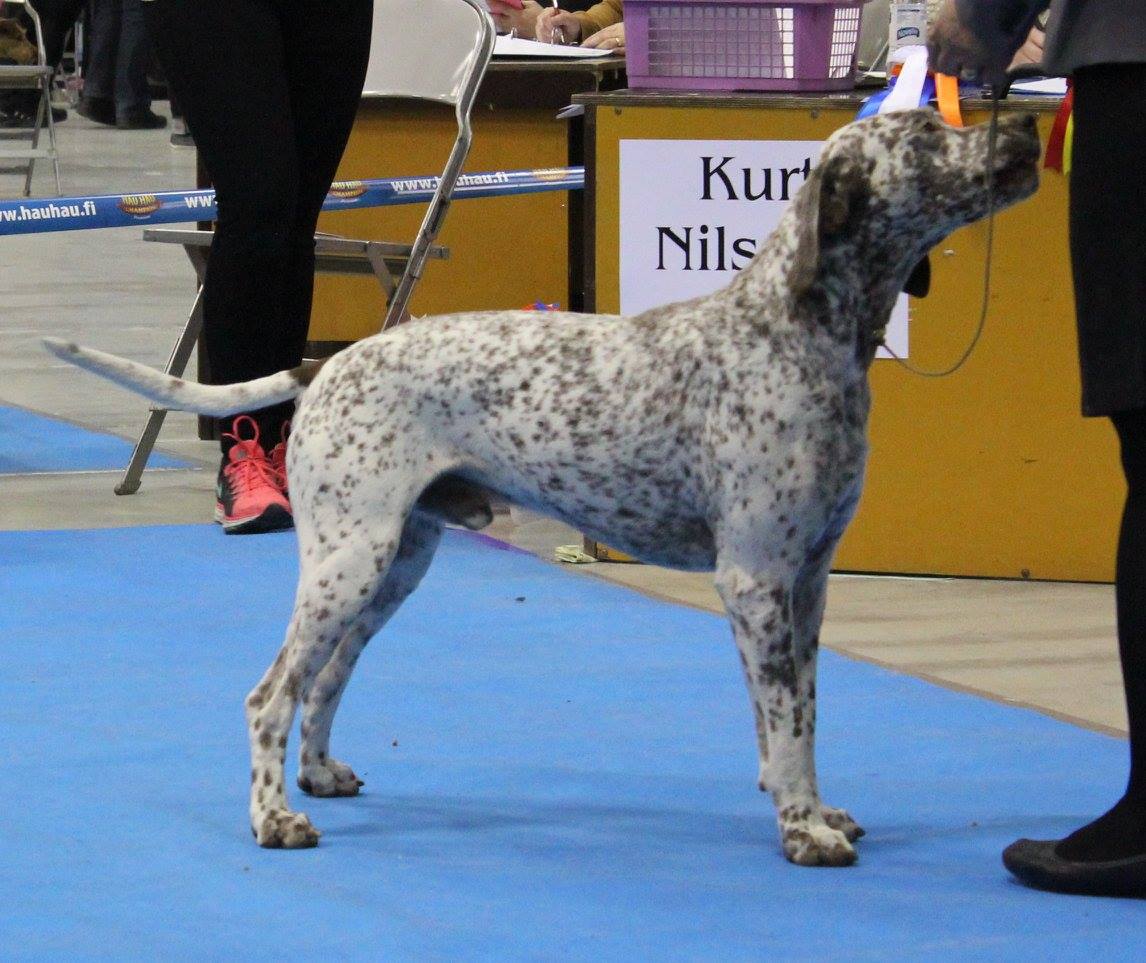 Cliquer pour agrandir/réduire