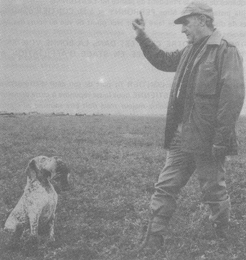 Jean Regis and  Pink du Rocher des Jastres retrieving