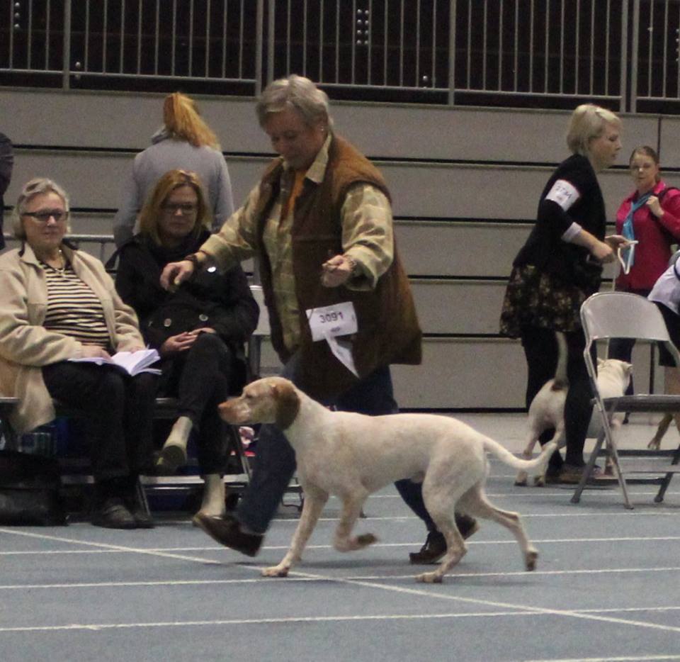 Cliquer pour agrandir/réduire