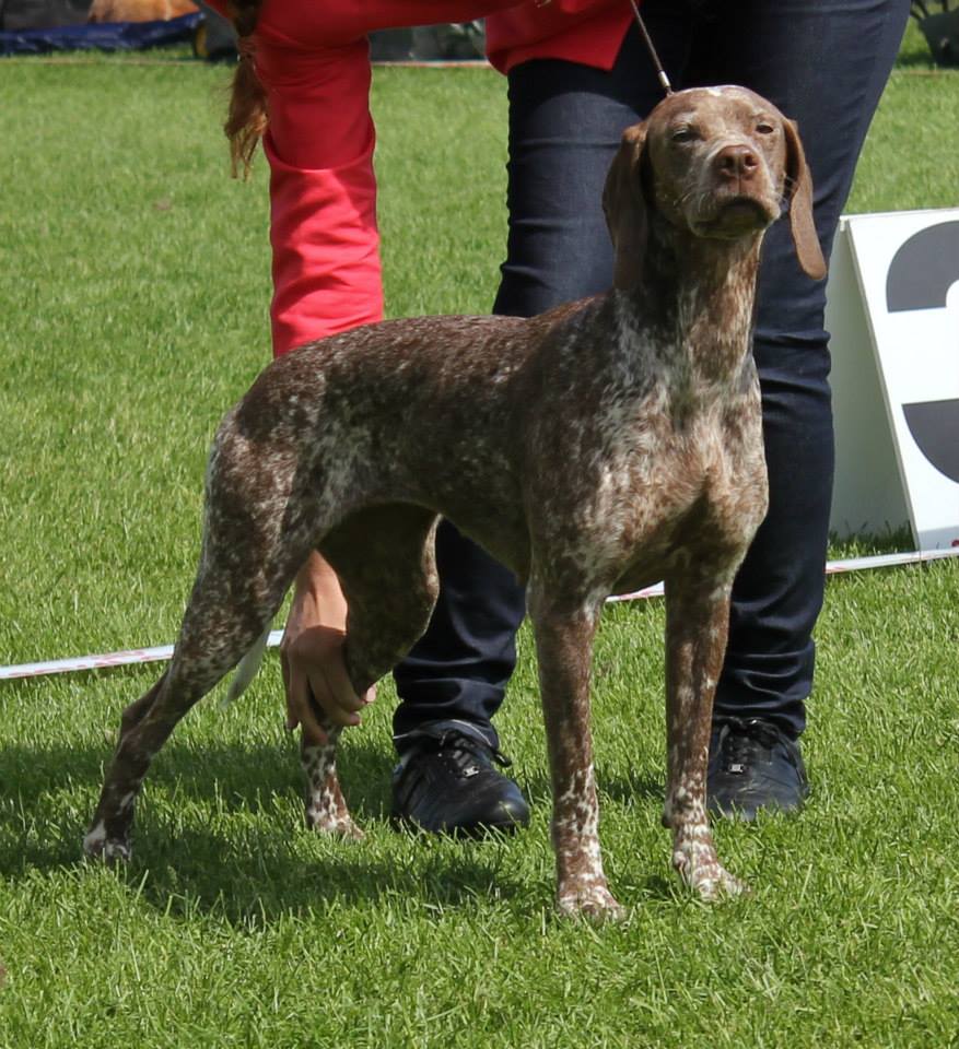 Cliquer pour agrandir/réduire