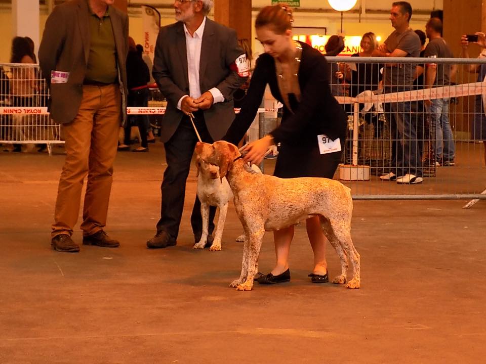 Cliquer pour agrandir/réduire