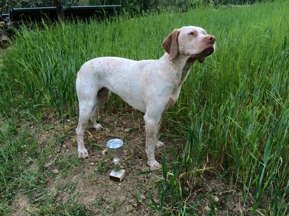 Cliquer pour agrandir/réduire