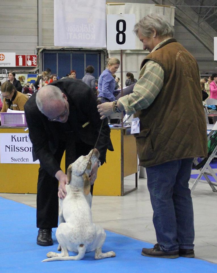 Cliquer pour agrandir/réduire