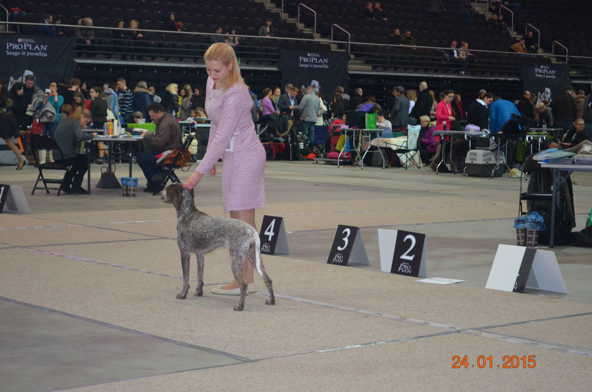 Cliquer pour agrandir/réduire