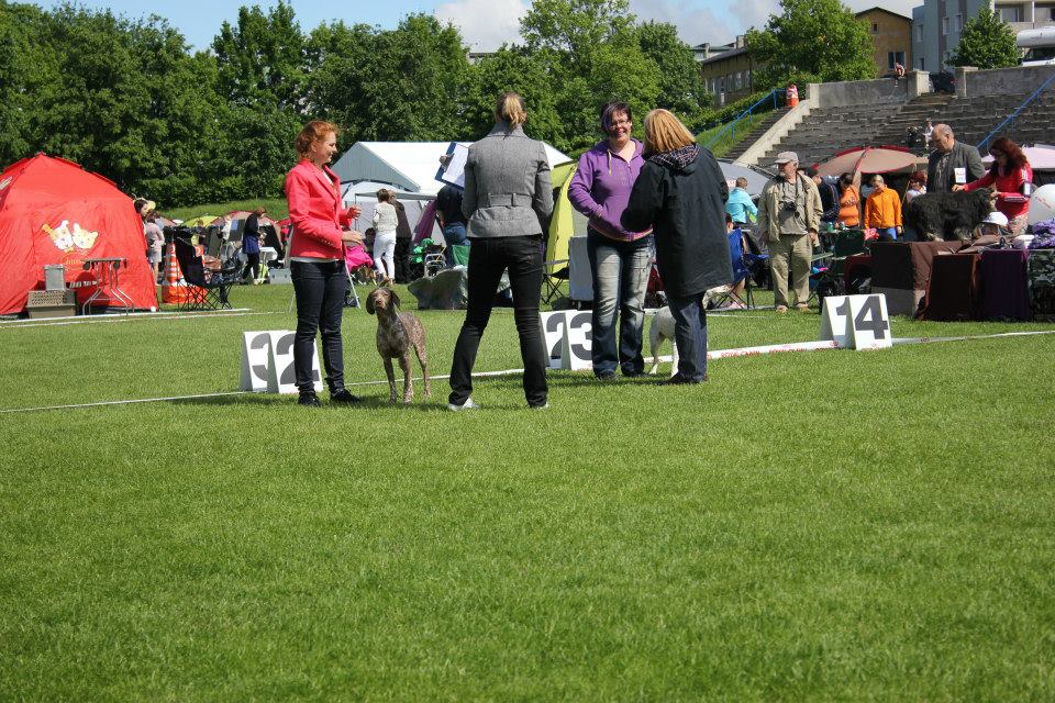 Cliquer pour agrandir/réduire