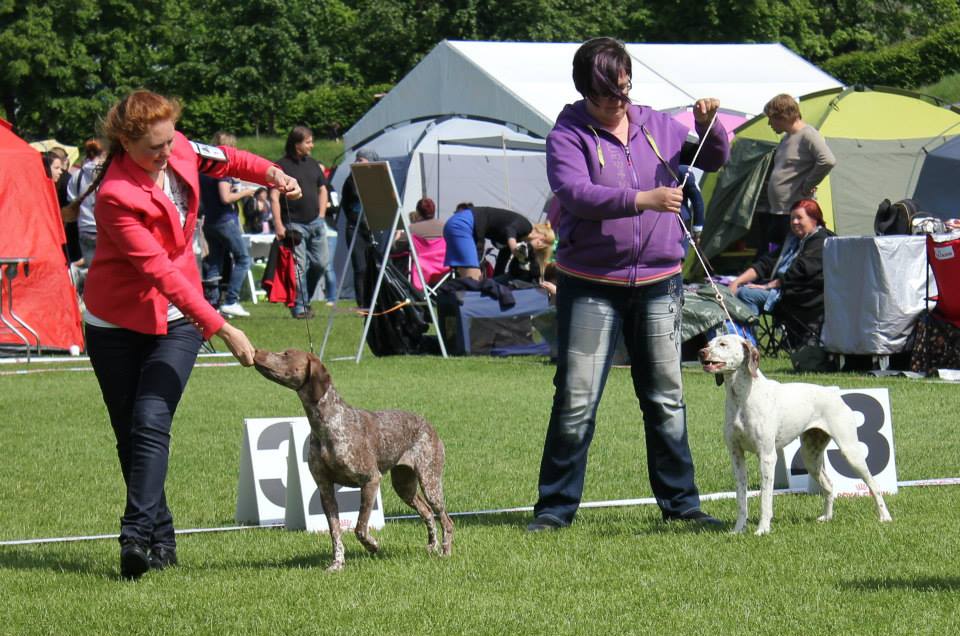 Cliquer pour agrandir/réduire